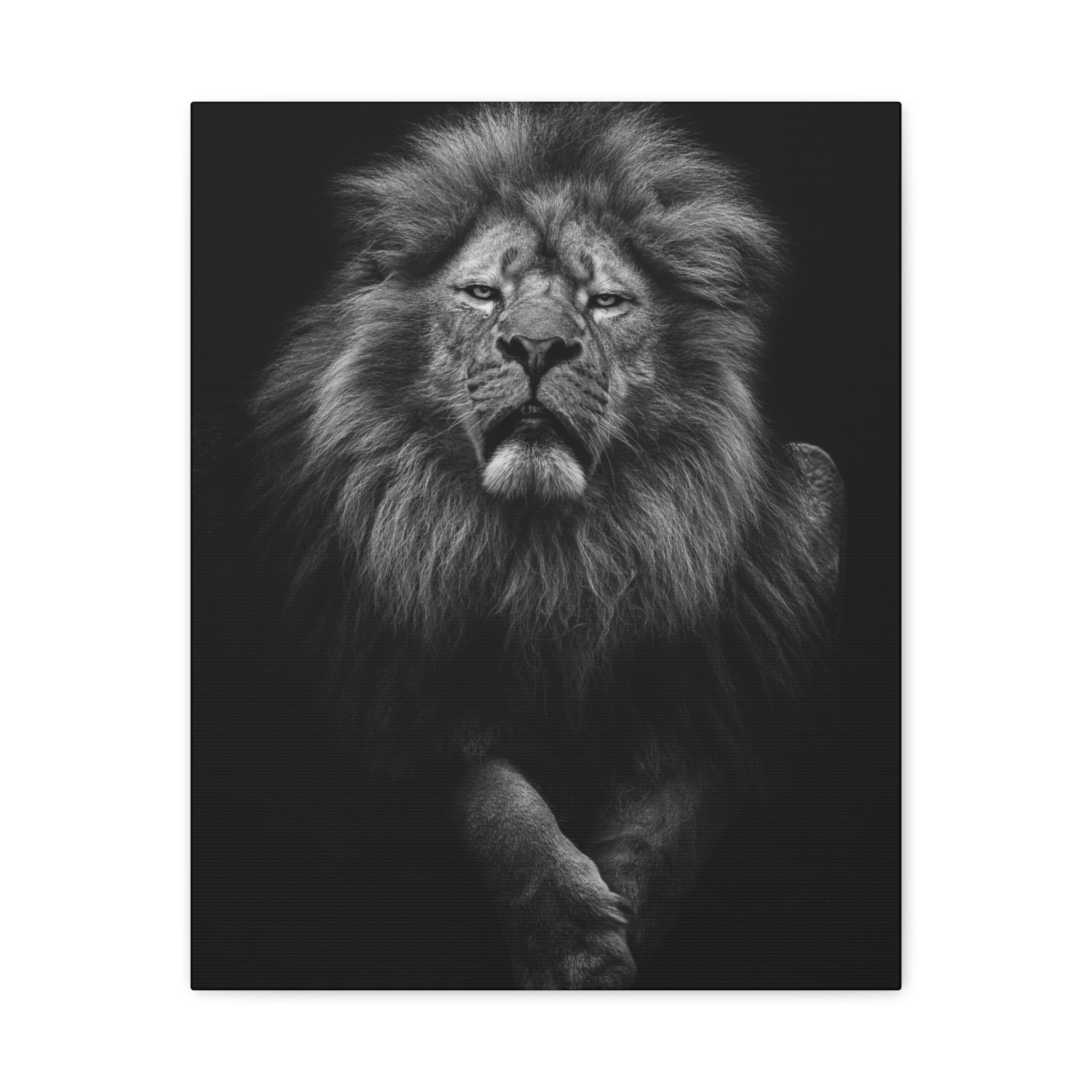 canvas-print-lion-wall-art-black-and-white-living-room-decor-matte-stretched-lion-poster-jungle-animal-art-print-wildlife-saf