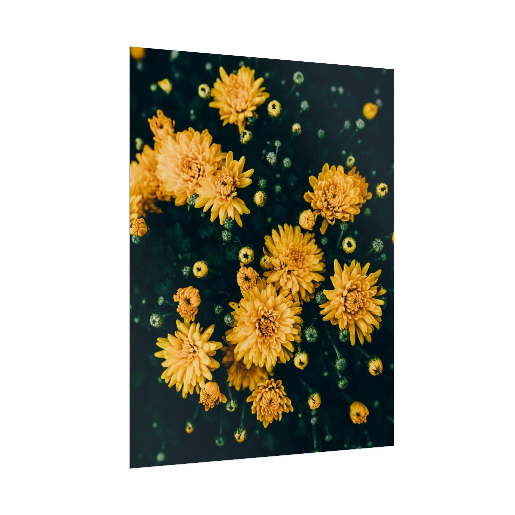 yellow-flower-art-poster-print-floral-wall-decor-floral-home-decor-gift-dark-botanical-art-print