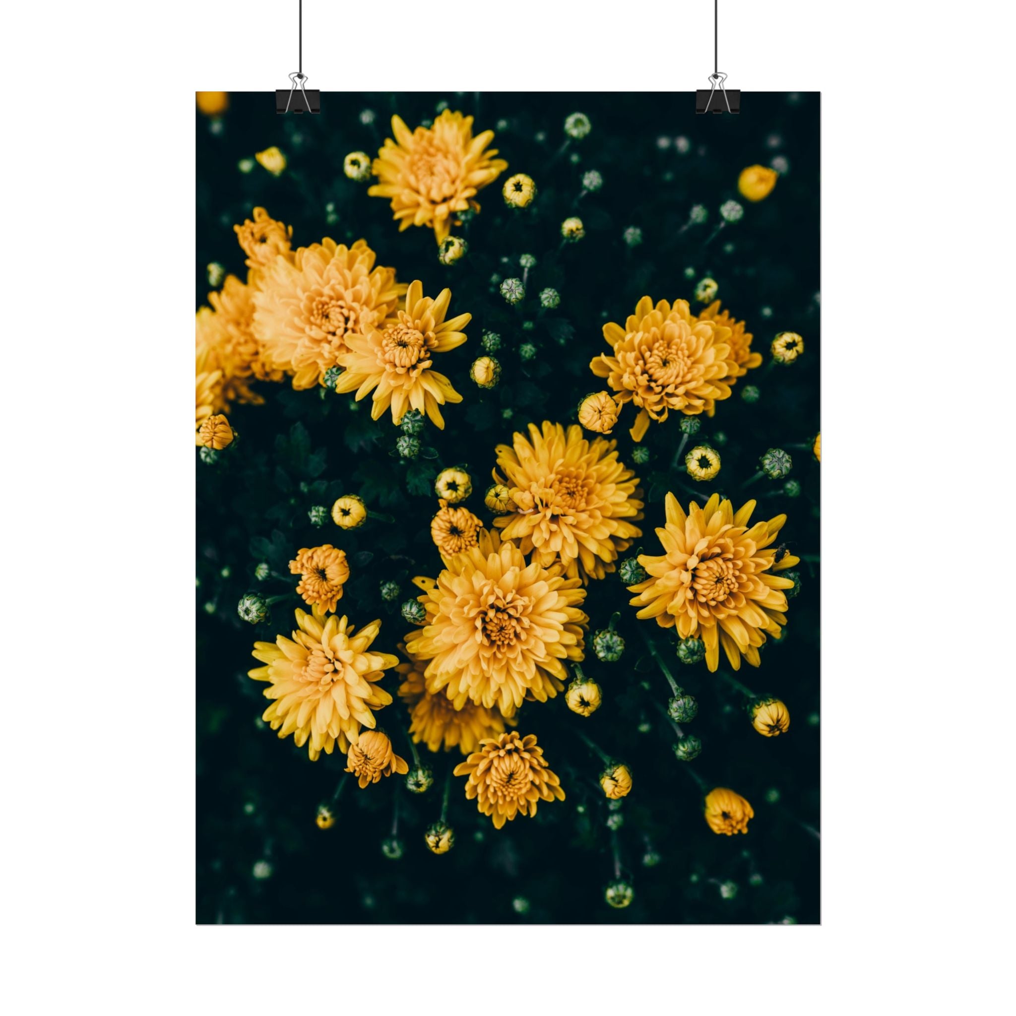 yellow-flower-art-poster-print-floral-wall-decor-floral-home-decor-gift-dark-botanical-art-print