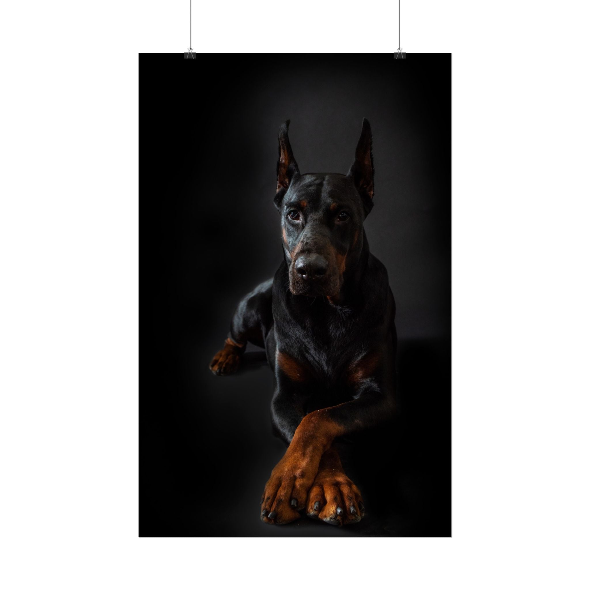 doberman-pincher-poster-print-rolled-posters-wall-art-home-decor-dog-lover-gift-animal-art-room-decoration
