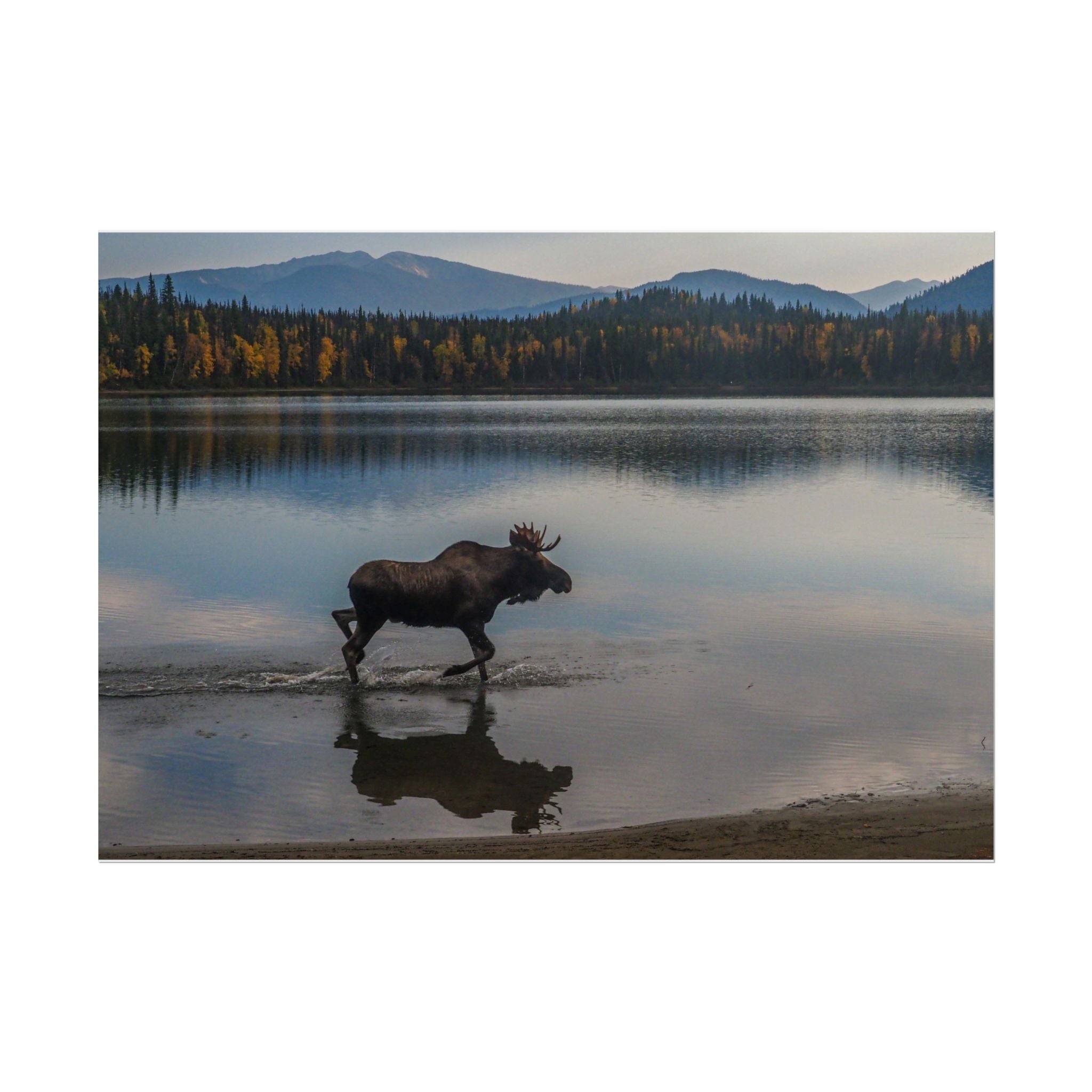 rustic-moose-poster-wall-decor-cabin-lodge-wildlife-painting-nature-home-decor-wilderness-animal-poster-farmhouse-wall-art