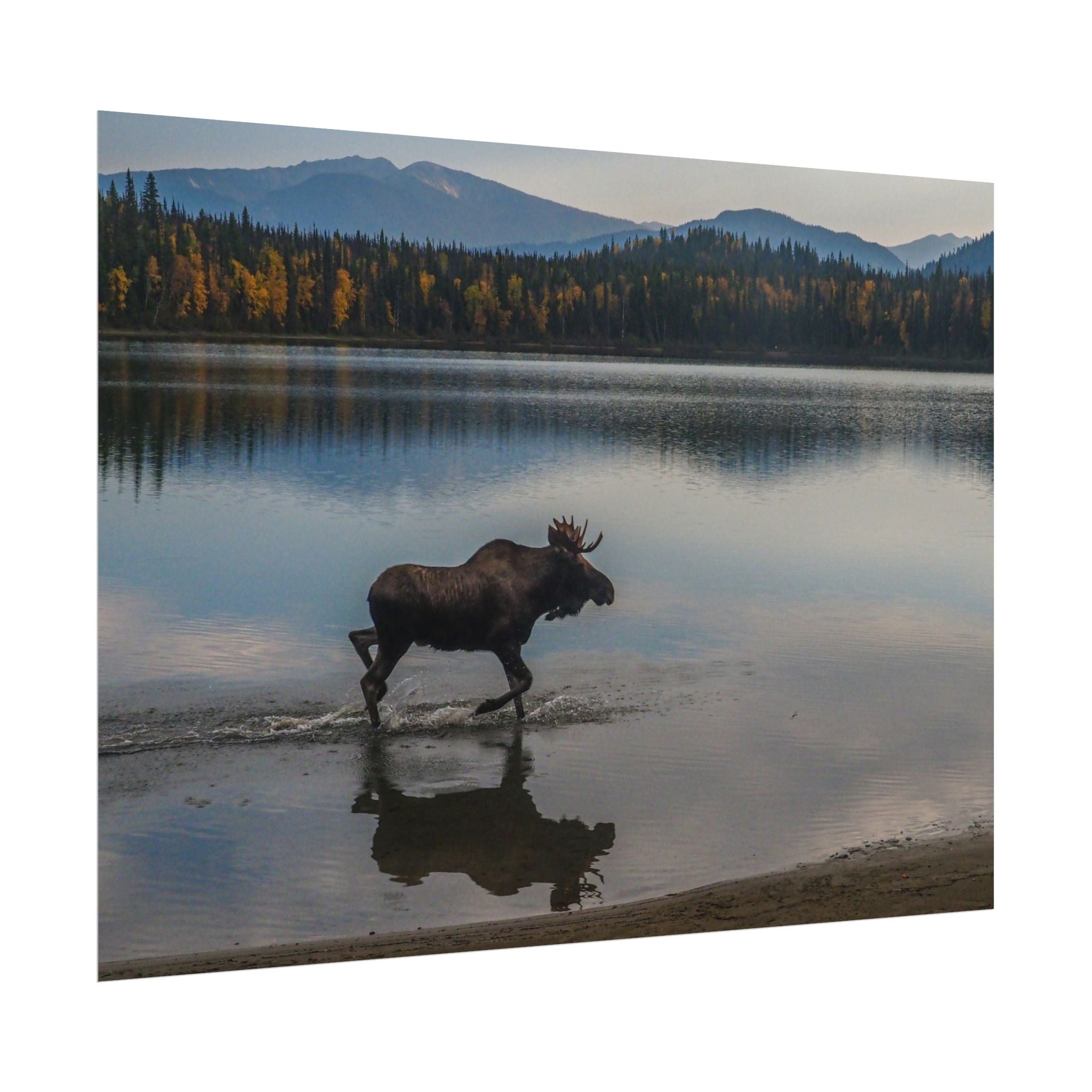 rustic-moose-poster-wall-decor-cabin-lodge-wildlife-painting-nature-home-decor-wilderness-animal-poster-farmhouse-wall-art