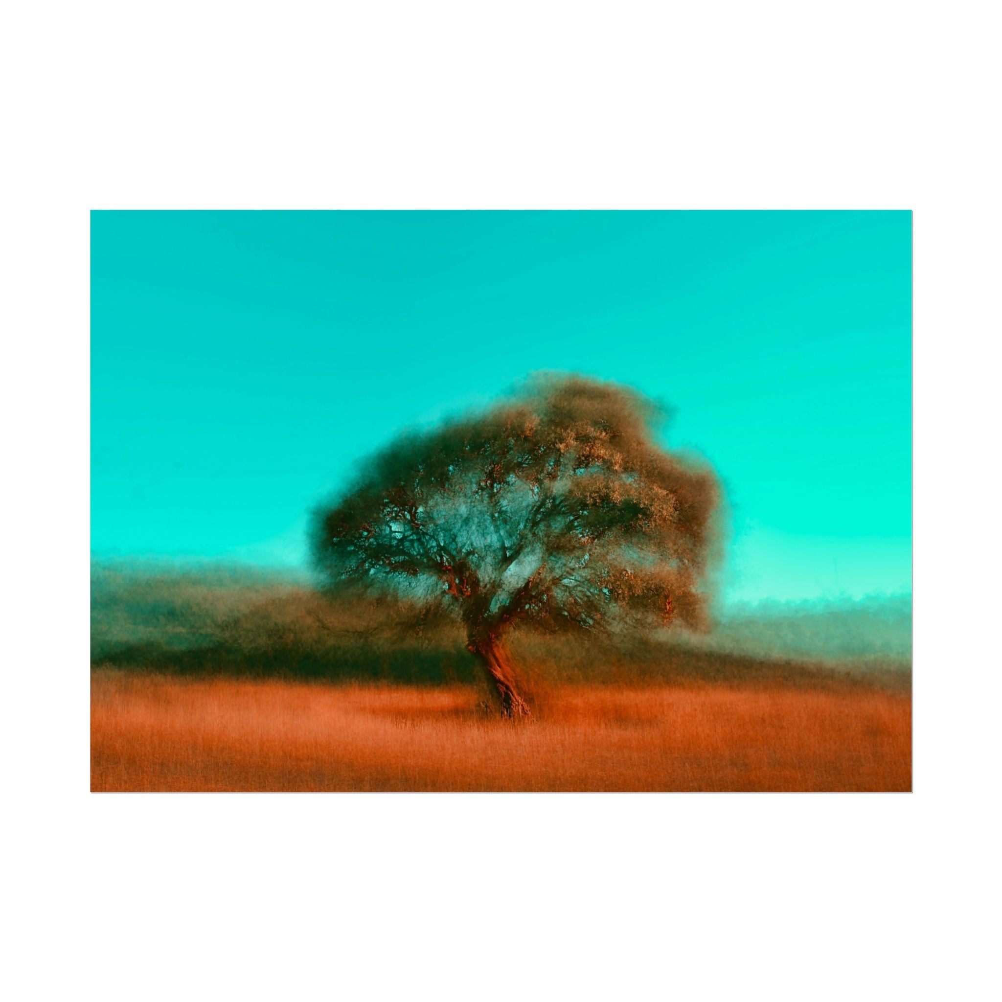 tree-photography-poster-print-rustic-nature-wall-decor-fine-art-paper-print-gift-for-nature-lover-home-office-decor-wall-art-