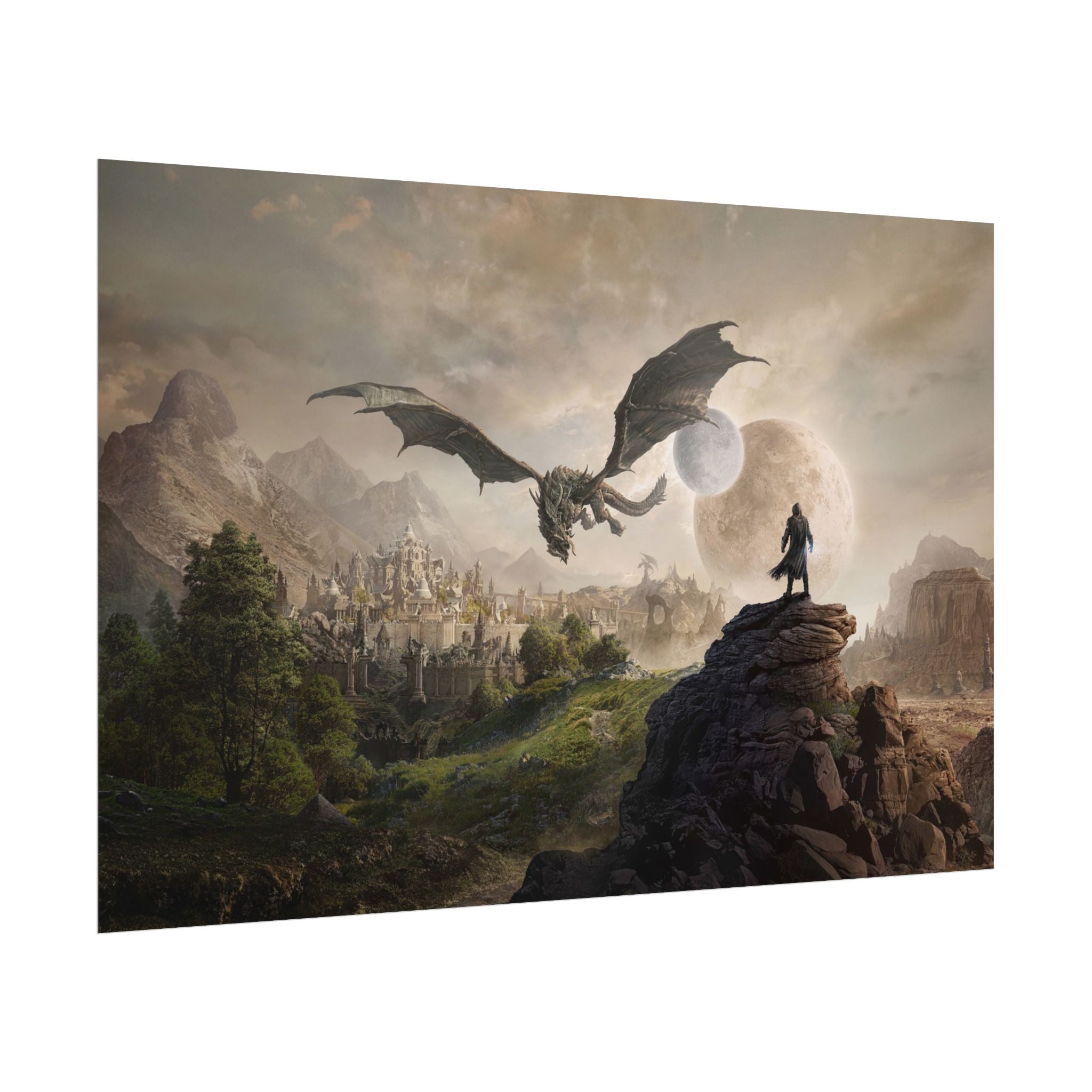 the-elder-scrolls-skyrim-elsweyr-poster-wall-art-viking-warrior-cat-game-poster-print-room-decor-gaming-wall-a