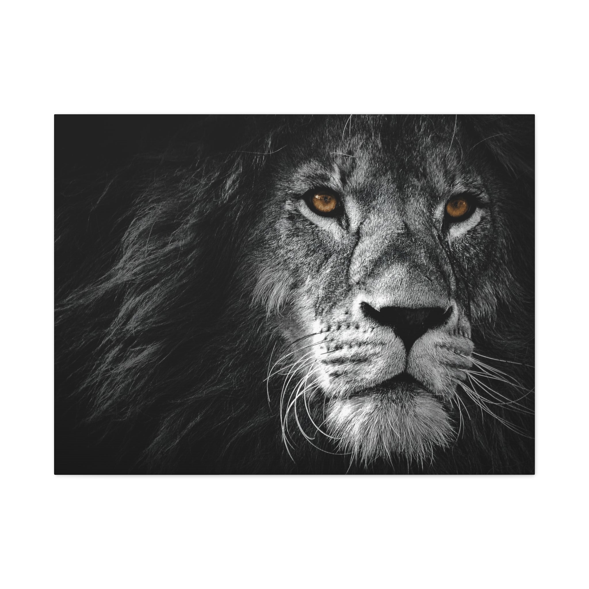canvas-print-lion-wall-art-black-and-white-living-room-decor-matte-stretched-lion-poster-jungle-animal-art-print-wildlife-saf