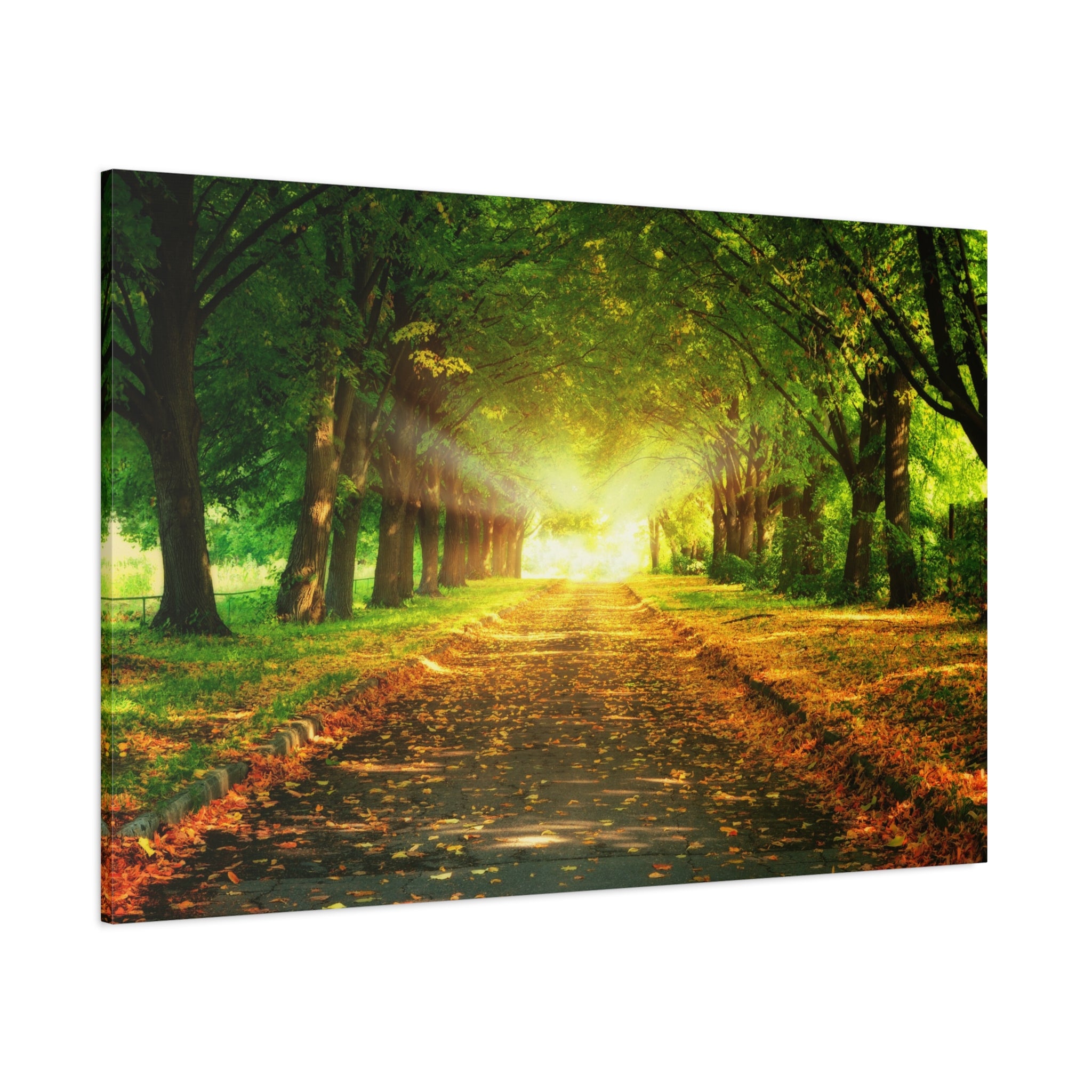 canvas-print-sunset-landscape-wall-art-nature-decor-fall-trees-living-room-decor-road-leaves-autumn-decor-fall-canvas