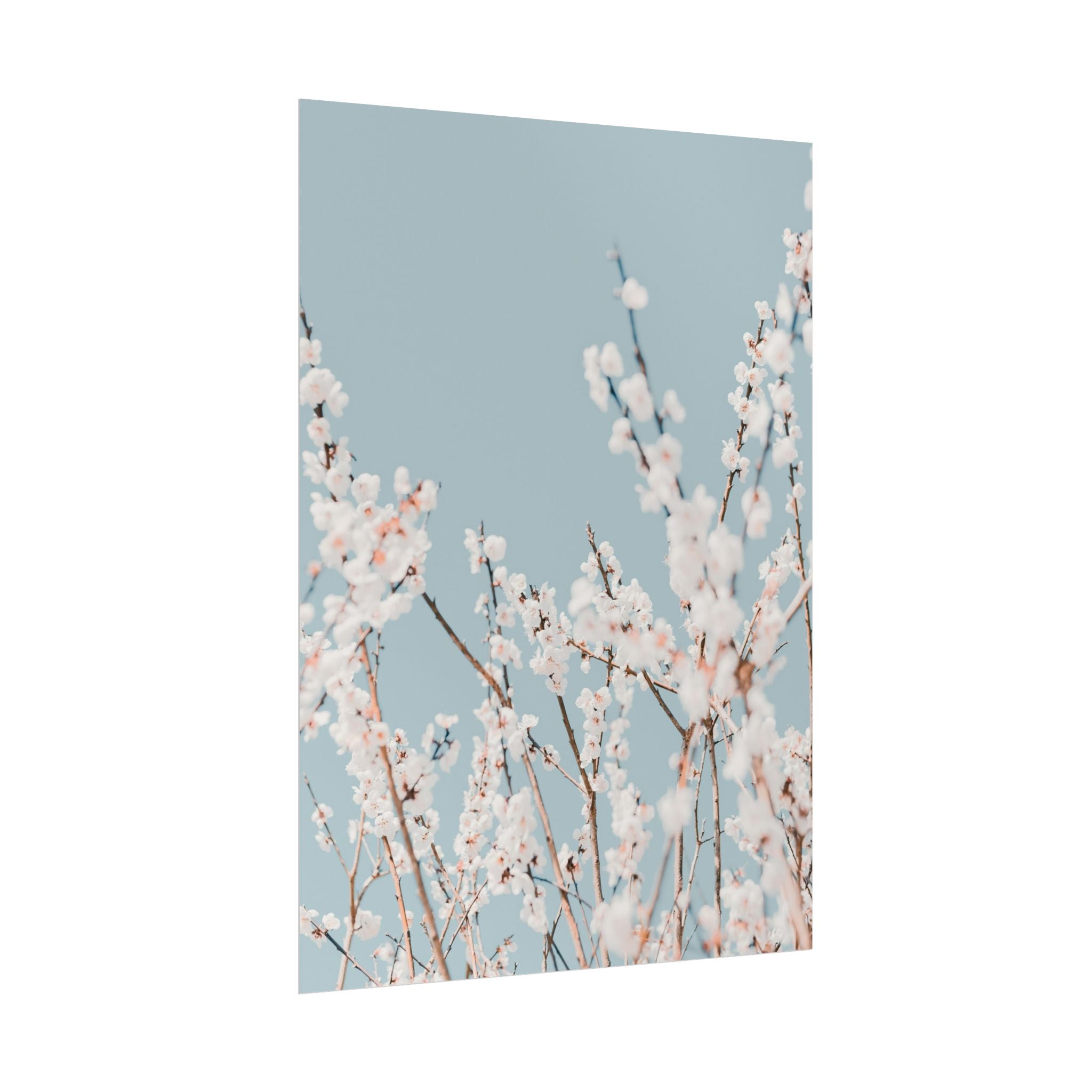 blossom-flowers-poster-print-minimalist-aesthetic-wall-art-fine-art-paper-home-decor-floral-decor-elegant-artwork