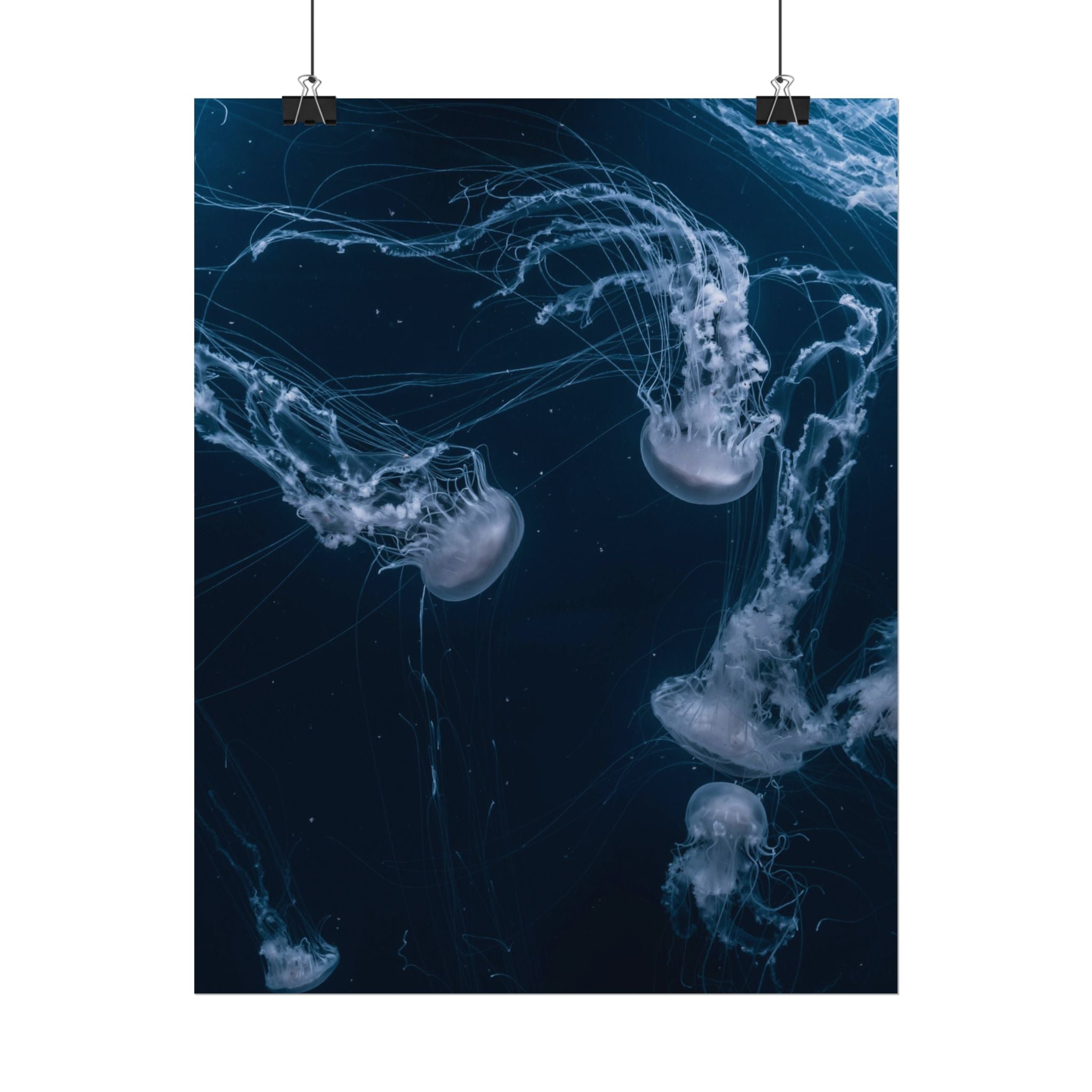 long-jellyfish-wall-art-poster-print-wall-hanging-ocean-life-deep-ocean-decor-home-decor-housewarming-gift