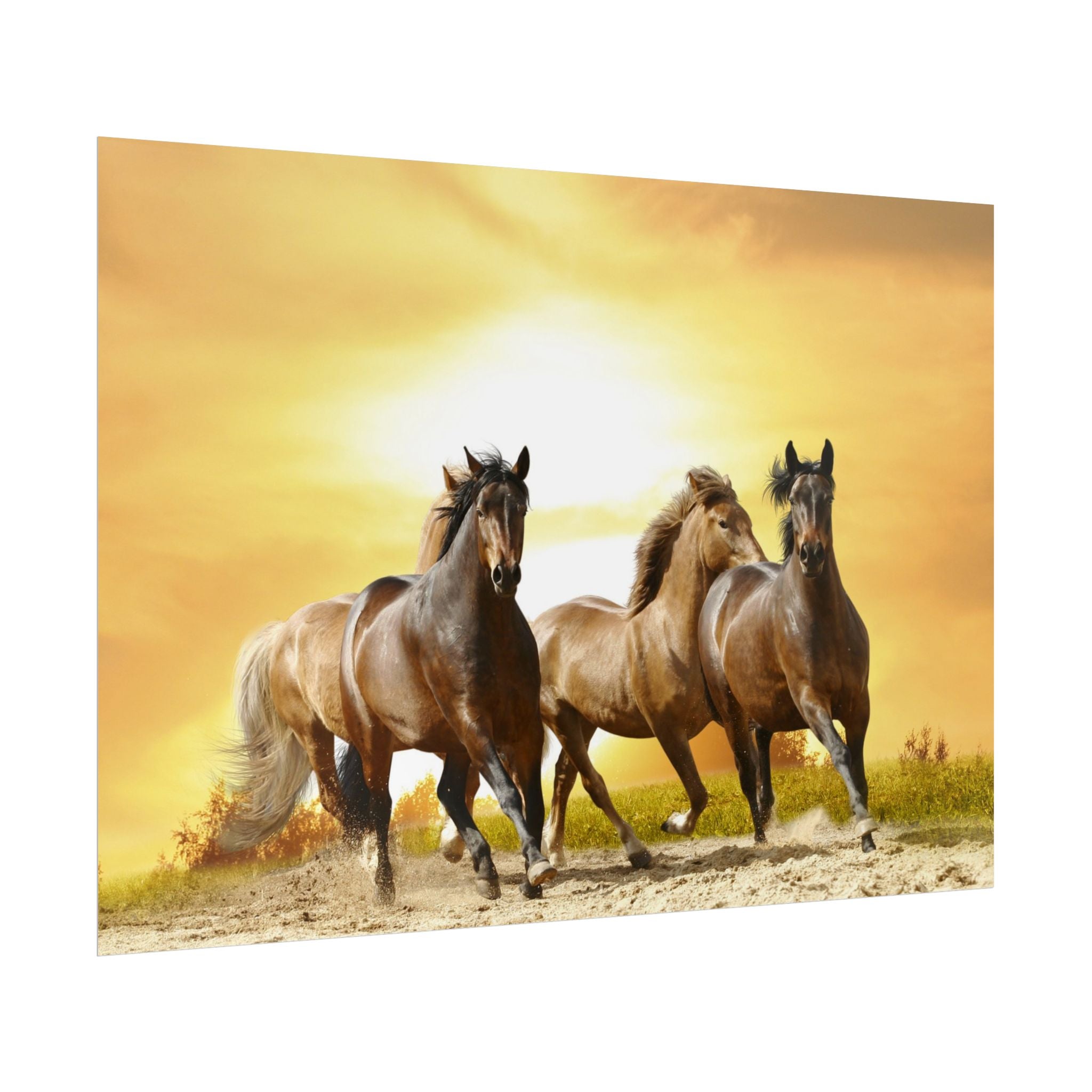 running-horse-poster-wall-art-farmhouse-wall-decor-home-decor-housewarming-gift-horse-print-wall-print-wild-animals