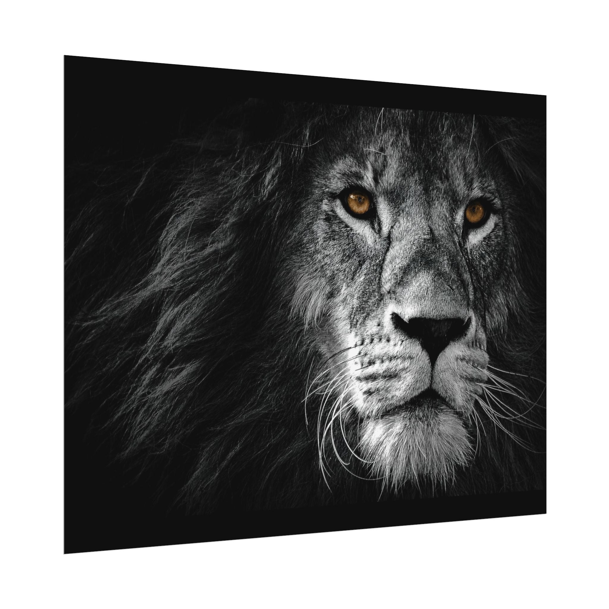 poster-print-lion-wall-art-black-and-white-monochrome-decor-living-room-decor-lion-poster-jungle-animal-art-print-wildlife-sa