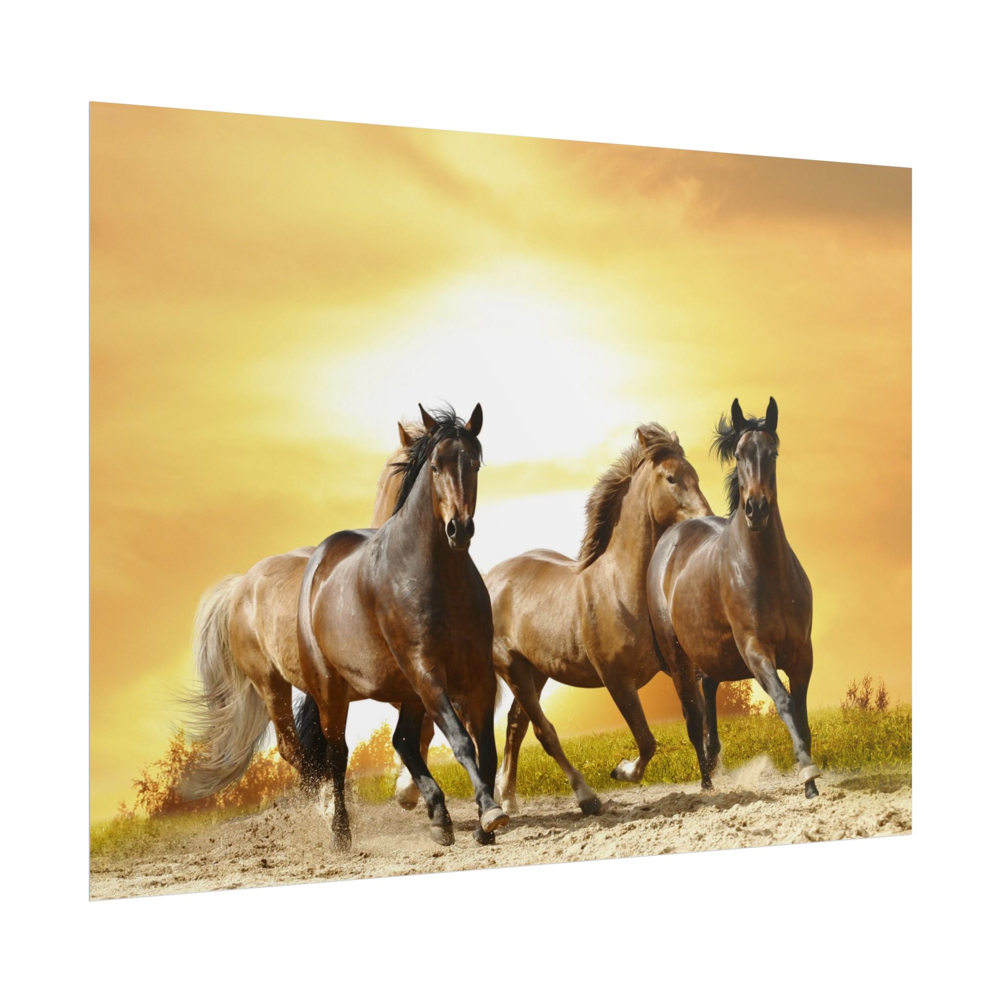 running-horse-poster-wall-art-farmhouse-wall-decor-home-decor-housewarming-gift-horse-print-wall-print-wild-animals