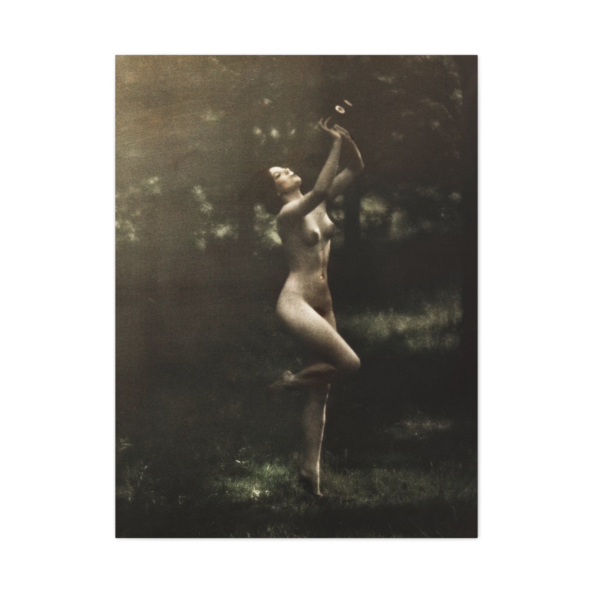 canvas-print-nude-dancer-by-arnold-genthe-nude-photography-nude-art-wall-decor-stretched-canvas-art-print-nature-photography