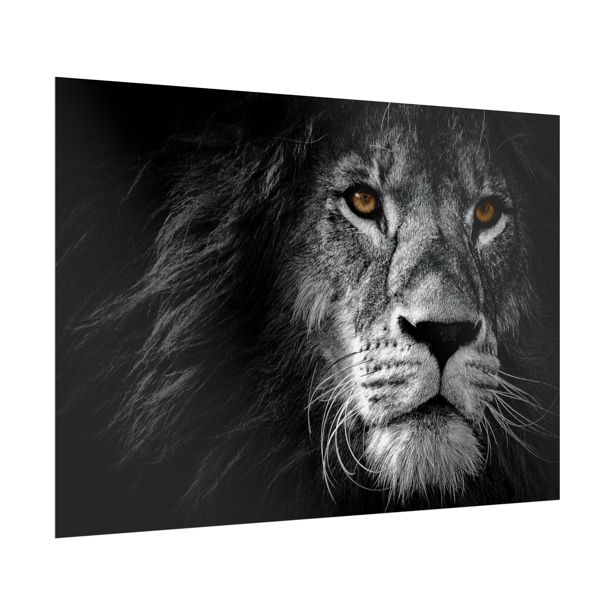 poster-print-lion-wall-art-black-and-white-monochrome-decor-living-room-decor-lion-poster-jungle-animal-art-print-wildlife-sa