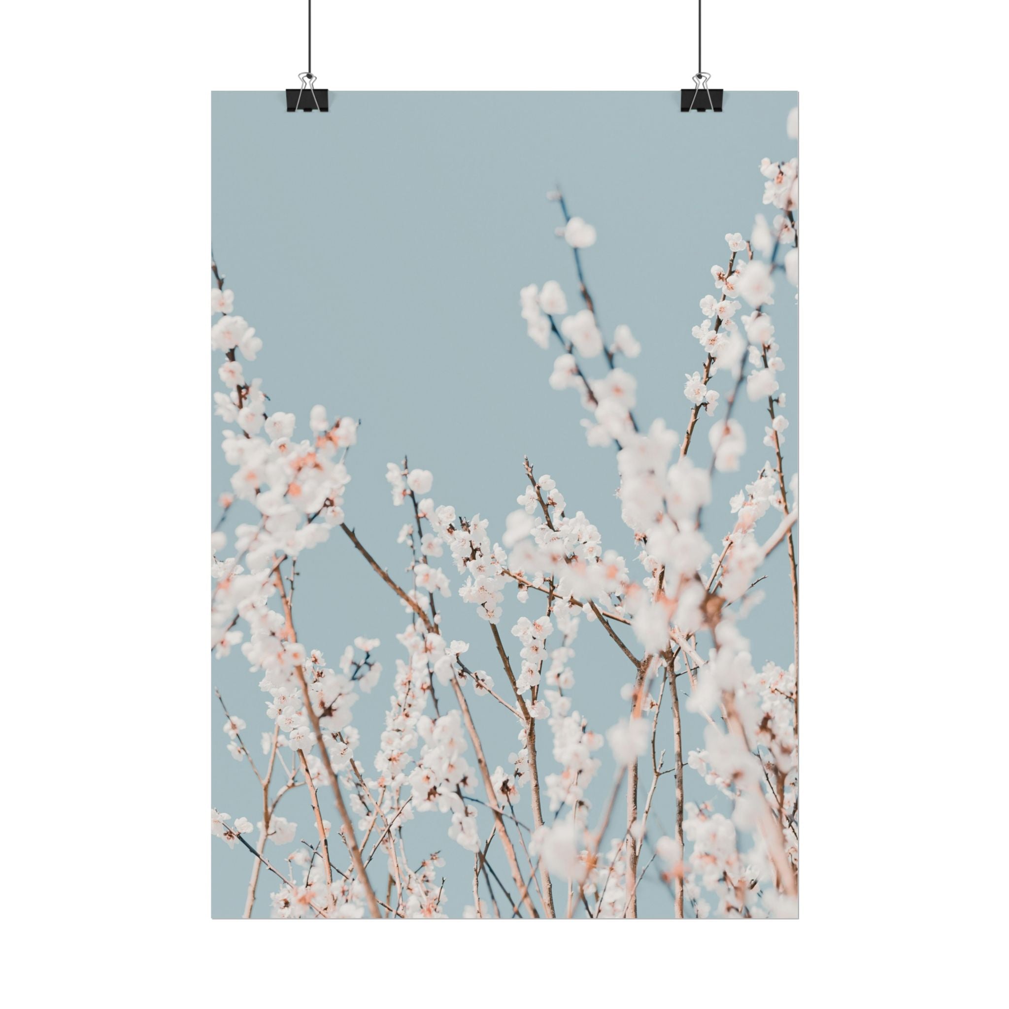 blossom-flowers-poster-print-minimalist-aesthetic-wall-art-fine-art-paper-home-decor-floral-decor-elegant-artwork