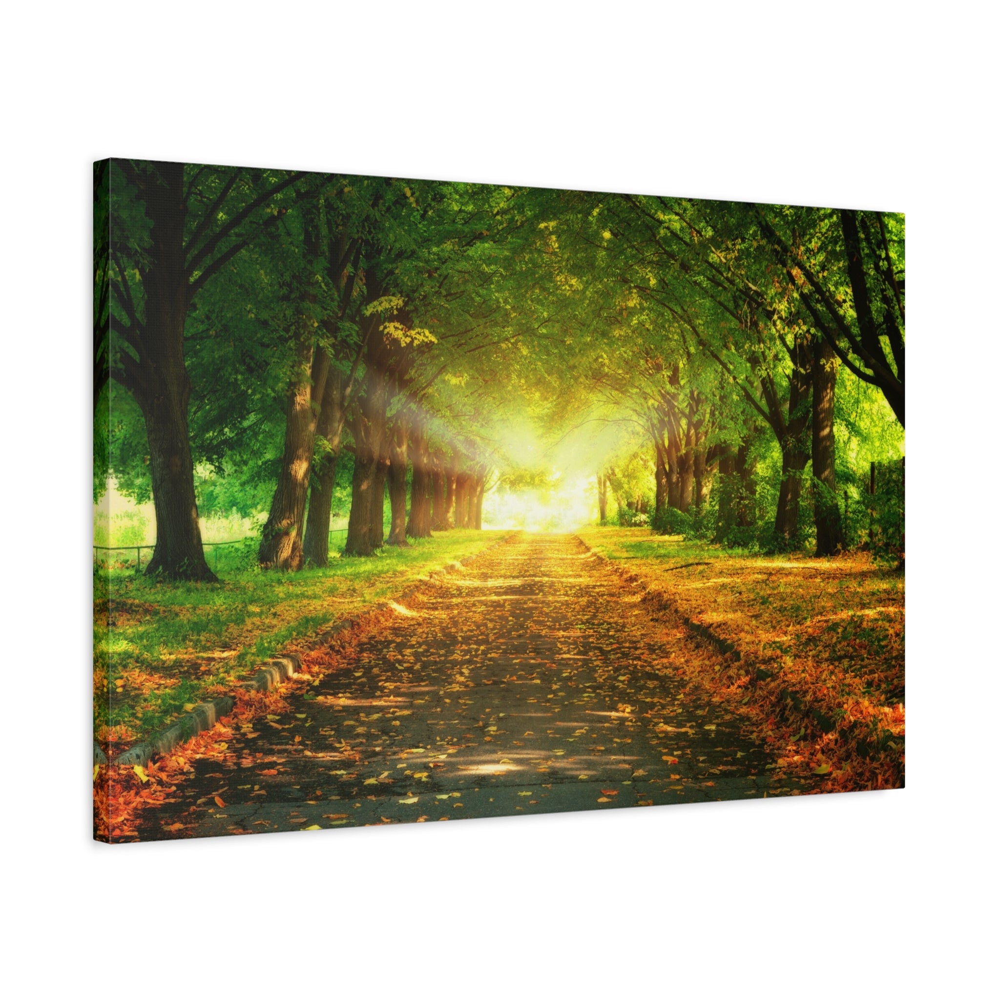 canvas-print-sunset-landscape-wall-art-nature-decor-fall-trees-living-room-decor-road-leaves-autumn-decor-fall-canvas