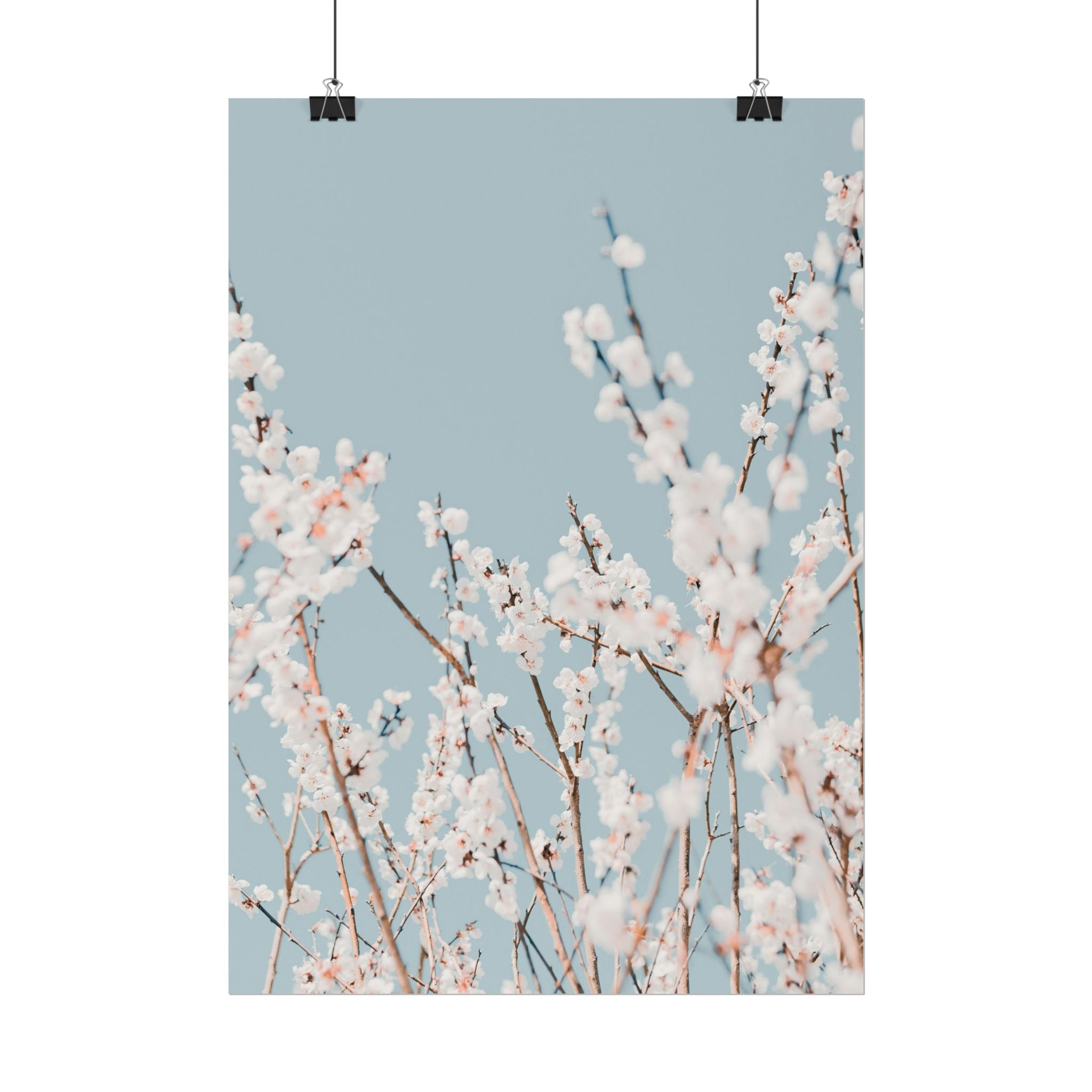 blossom-flowers-poster-print-minimalist-aesthetic-wall-art-fine-art-paper-home-decor-floral-decor-elegant-artwork
