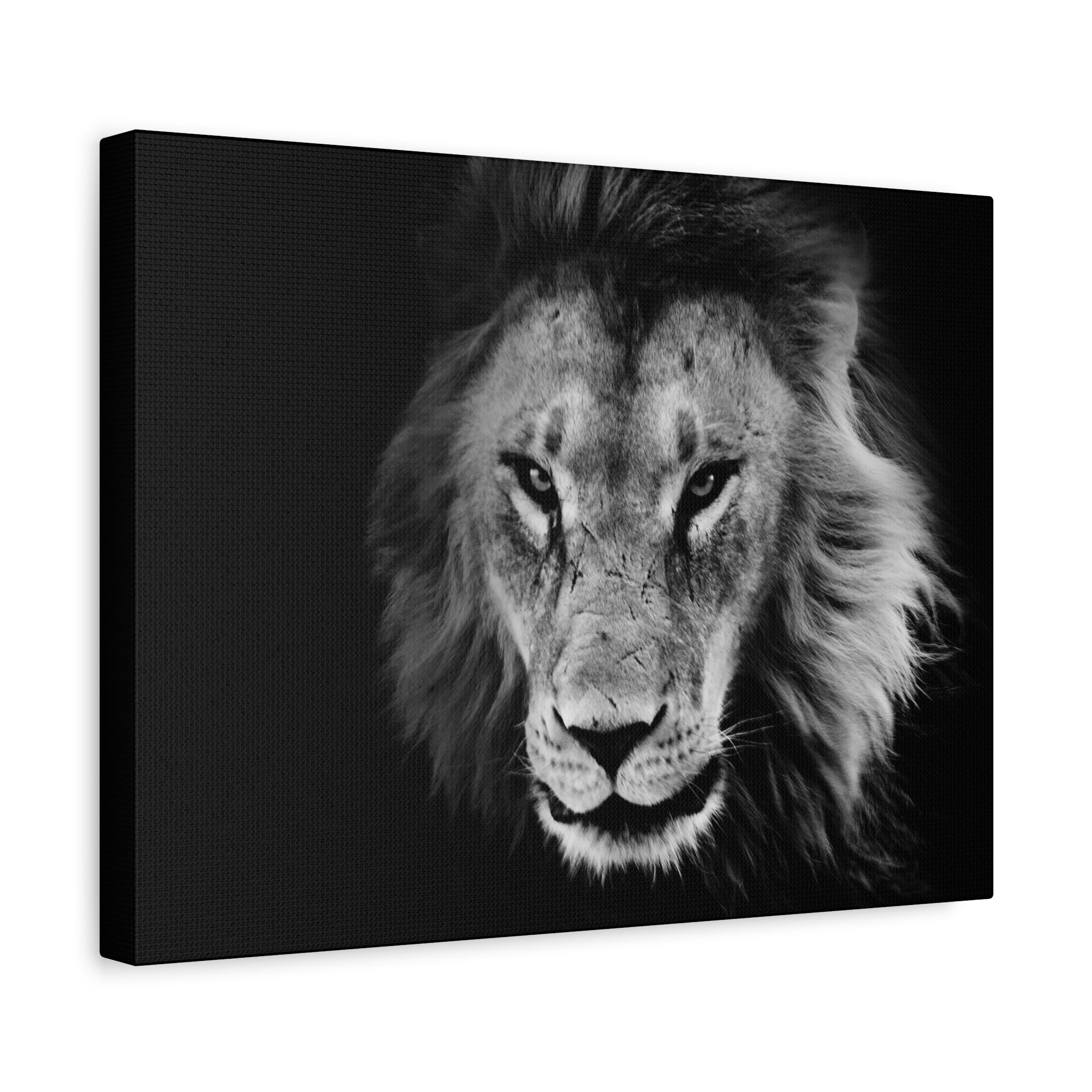 canvas-print-lion-wall-art-black-and-white-living-room-decor-matte-stretched-lion-poster-jungle-animal-art-print-wildlife-saf