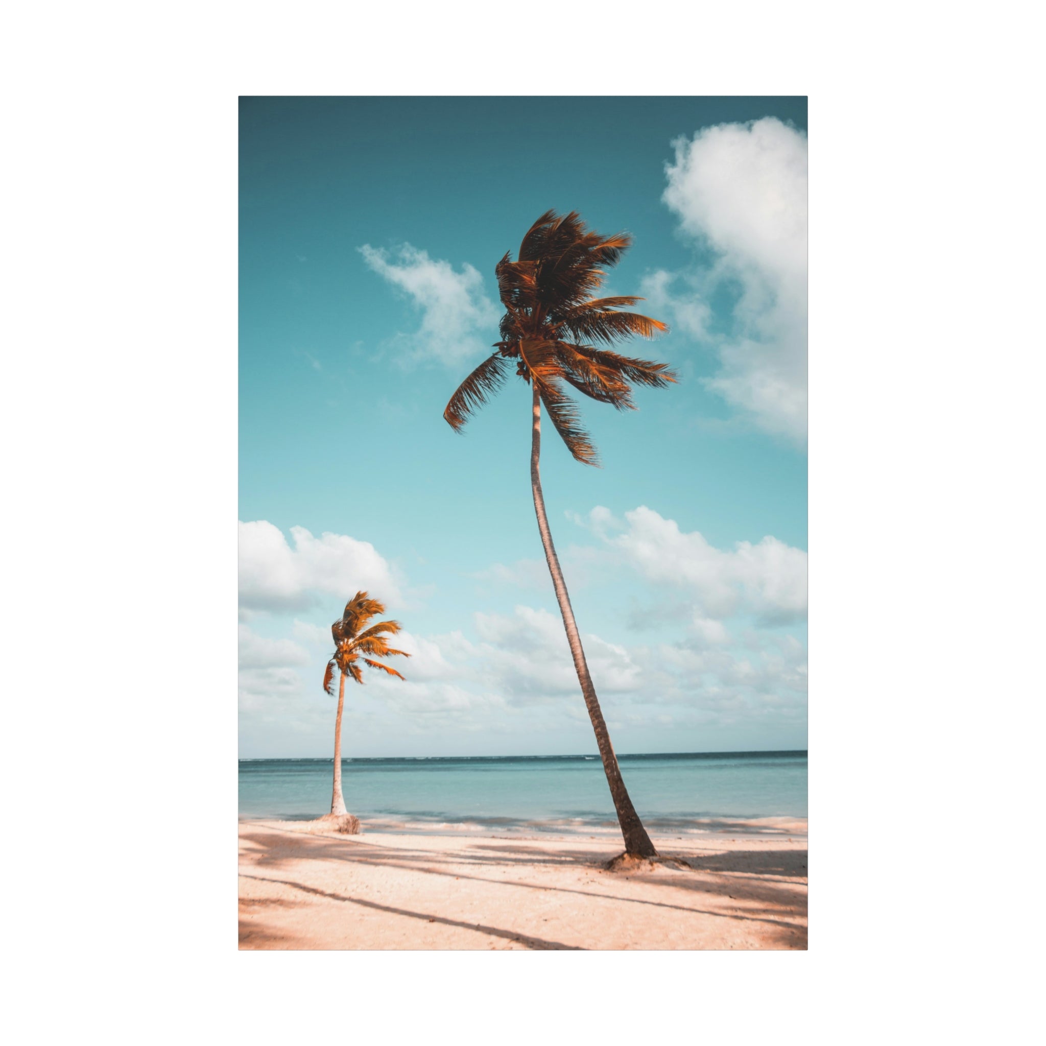 palm-tree-canvas-print-palm-tree-decor-wall-art-print-home-decor-palm-tree-fine-art-palm-tree-art-gallery-stretched-canvas-pr