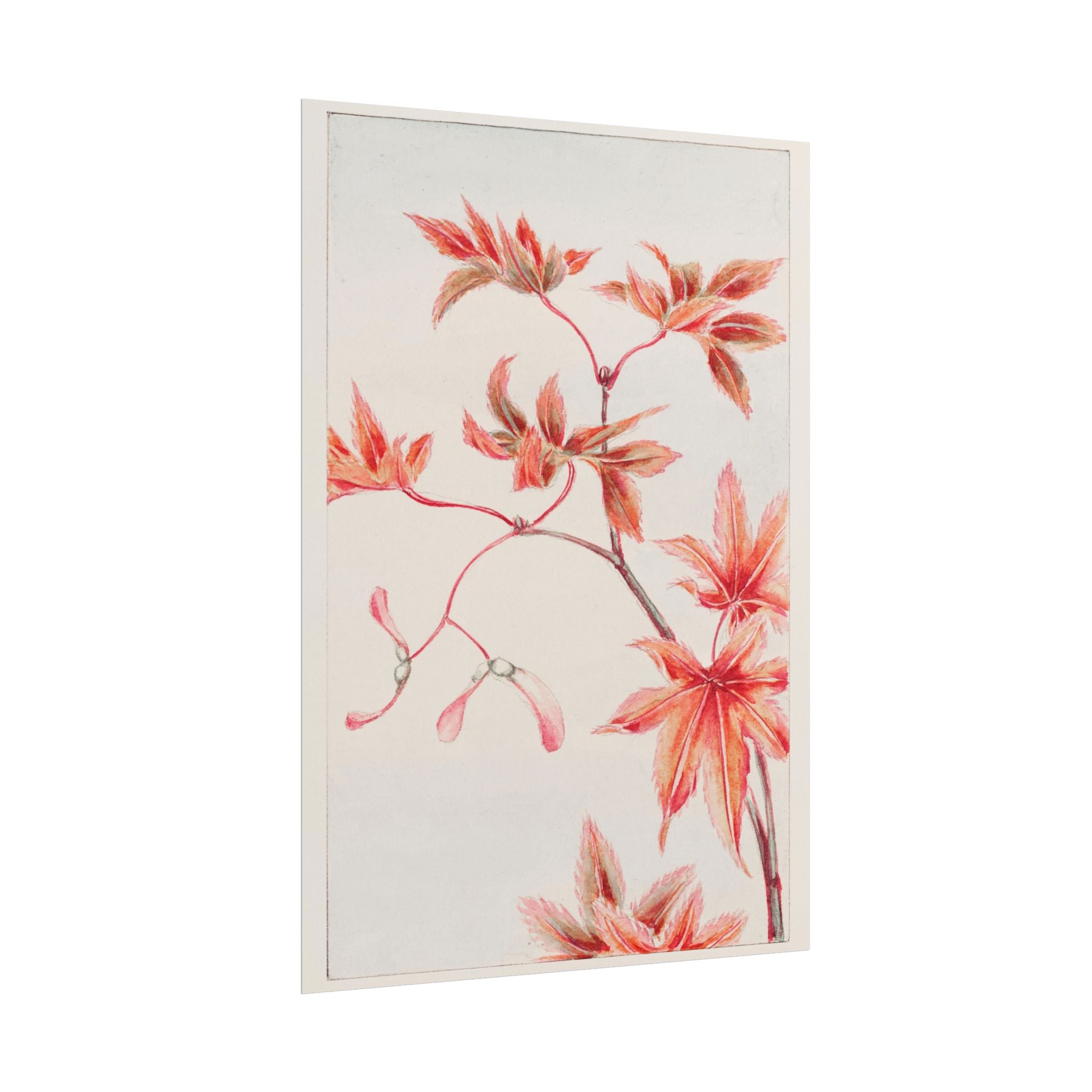 poster-print-branch-of-momiji-maple-tree-with-leaves-floral-wall-art-rolled-posters-wall-decor-room-decoration-nature-art-bot