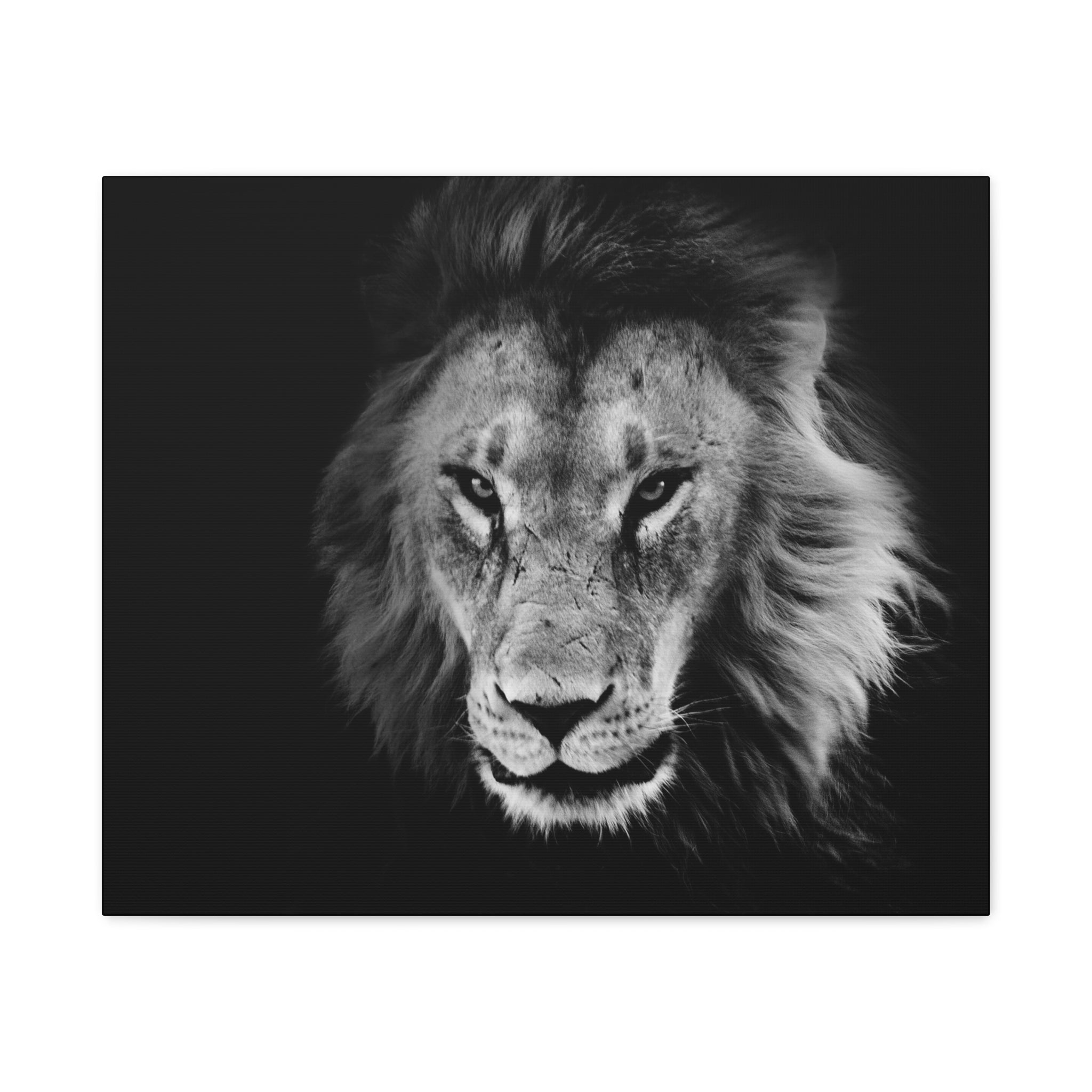 canvas-print-lion-wall-art-black-and-white-living-room-decor-matte-stretched-lion-poster-jungle-animal-art-print-wildlife-saf
