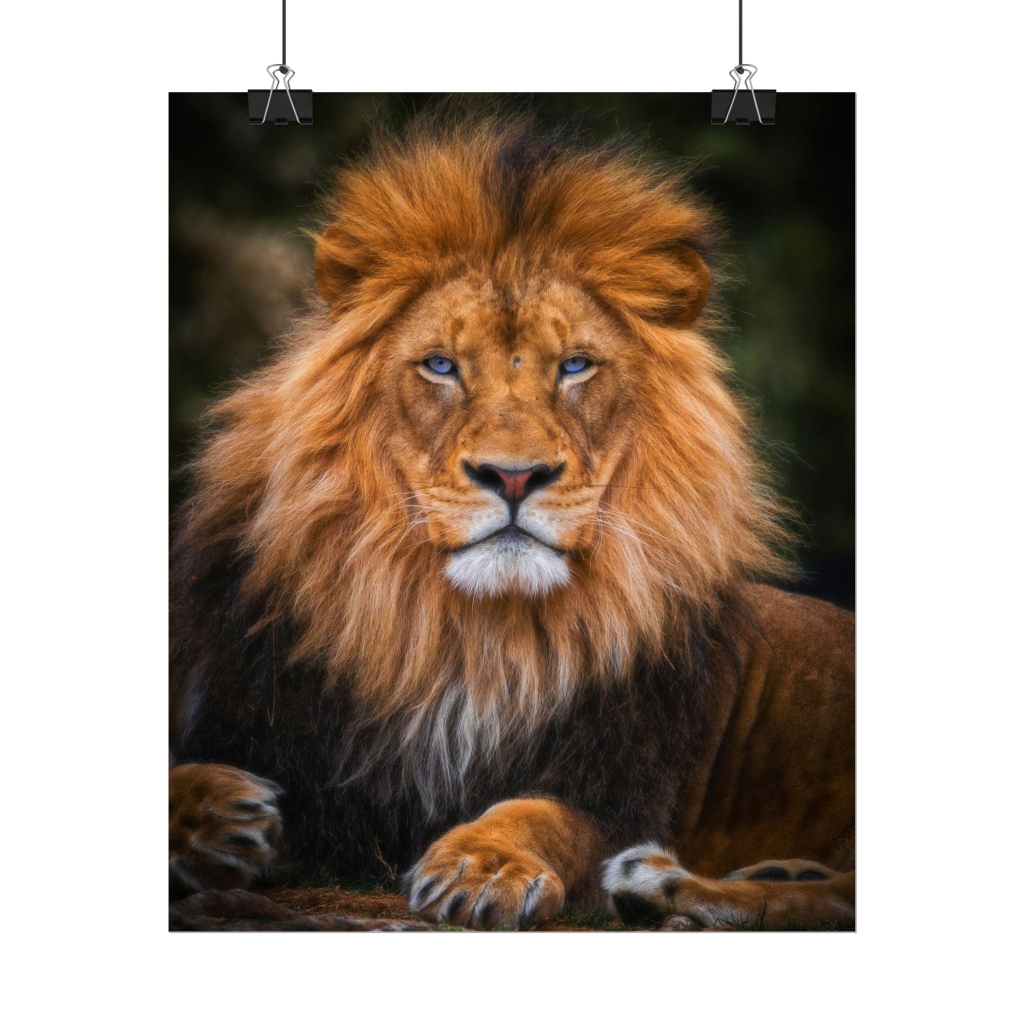 blue-eyed-lion-poster-wall-art-wildlife-home-decor-animal-lover-gift-safari-decoration-wildlife-art-print-lion-wall-decor