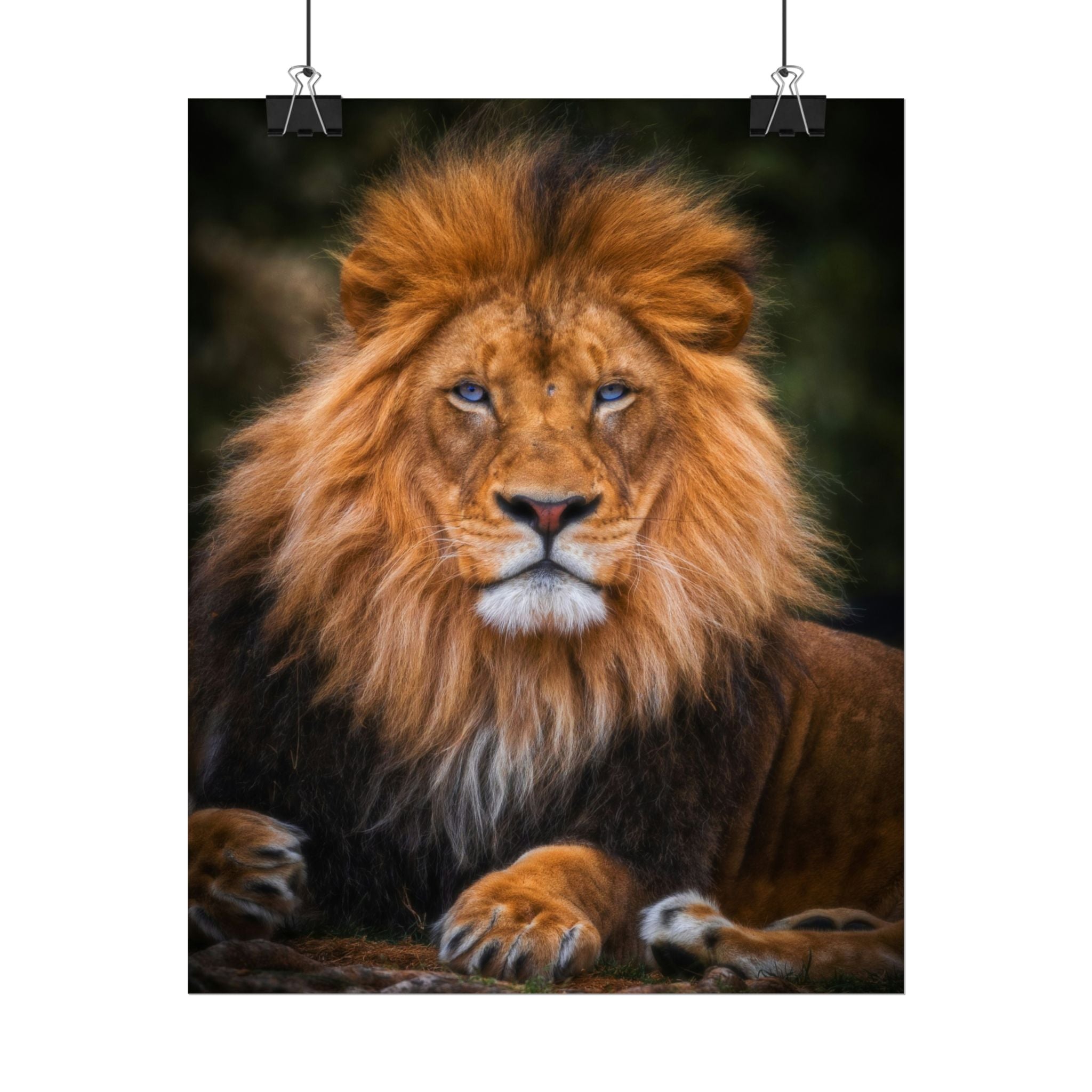 blue-eyed-lion-poster-wall-art-wildlife-home-decor-animal-lover-gift-safari-decoration-wildlife-art-print-lion-wall-decor