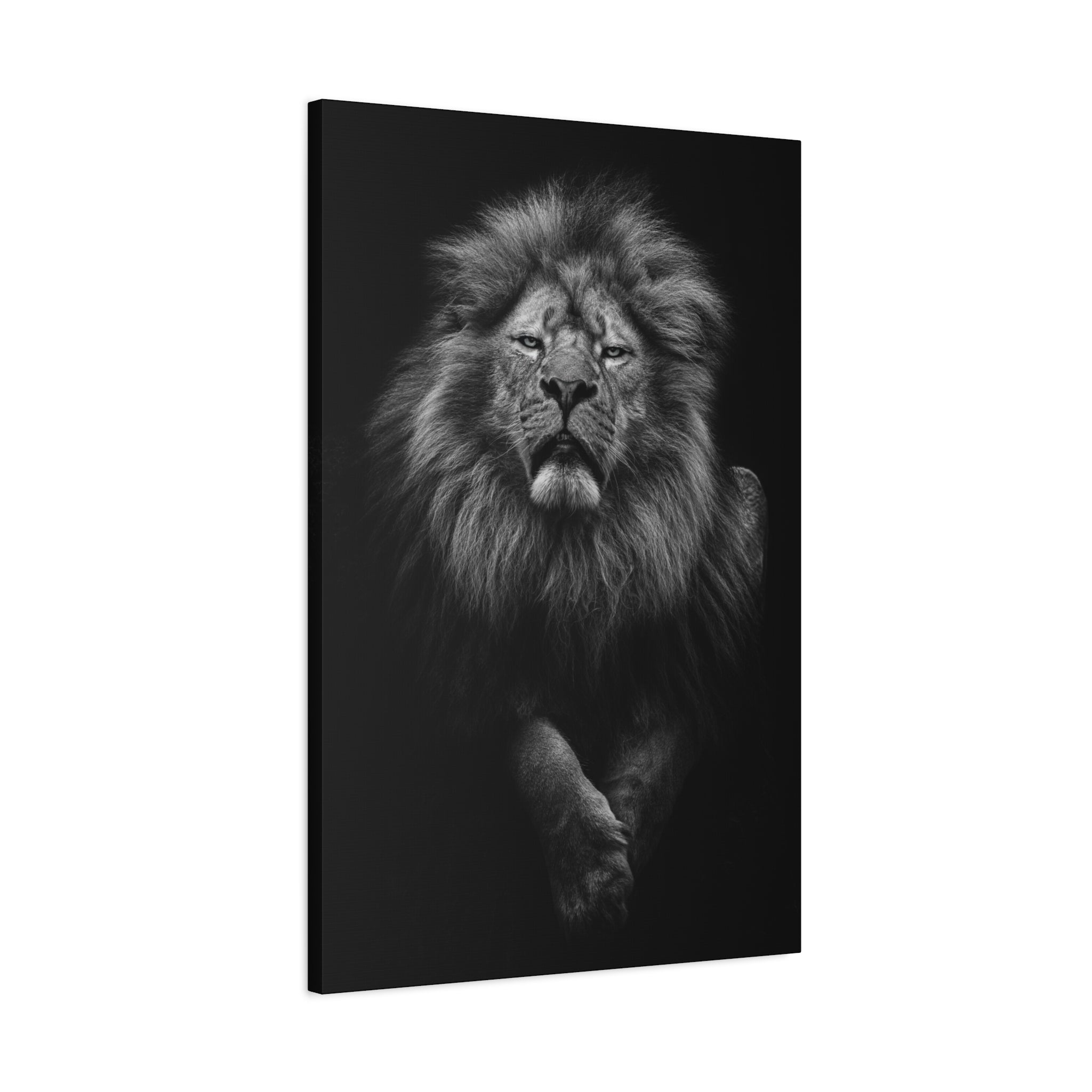 canvas-print-lion-wall-art-black-and-white-living-room-decor-matte-stretched-lion-poster-jungle-animal-art-print-wildlife-saf