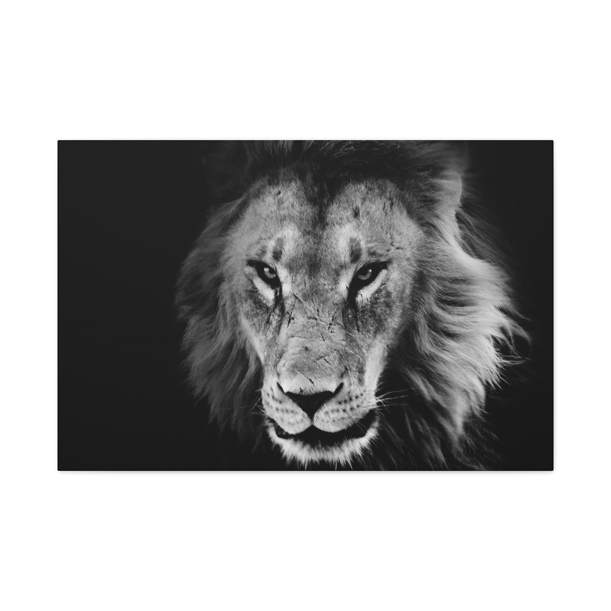 canvas-print-lion-wall-art-black-and-white-living-room-decor-matte-stretched-lion-poster-jungle-animal-art-print-wildlife-saf