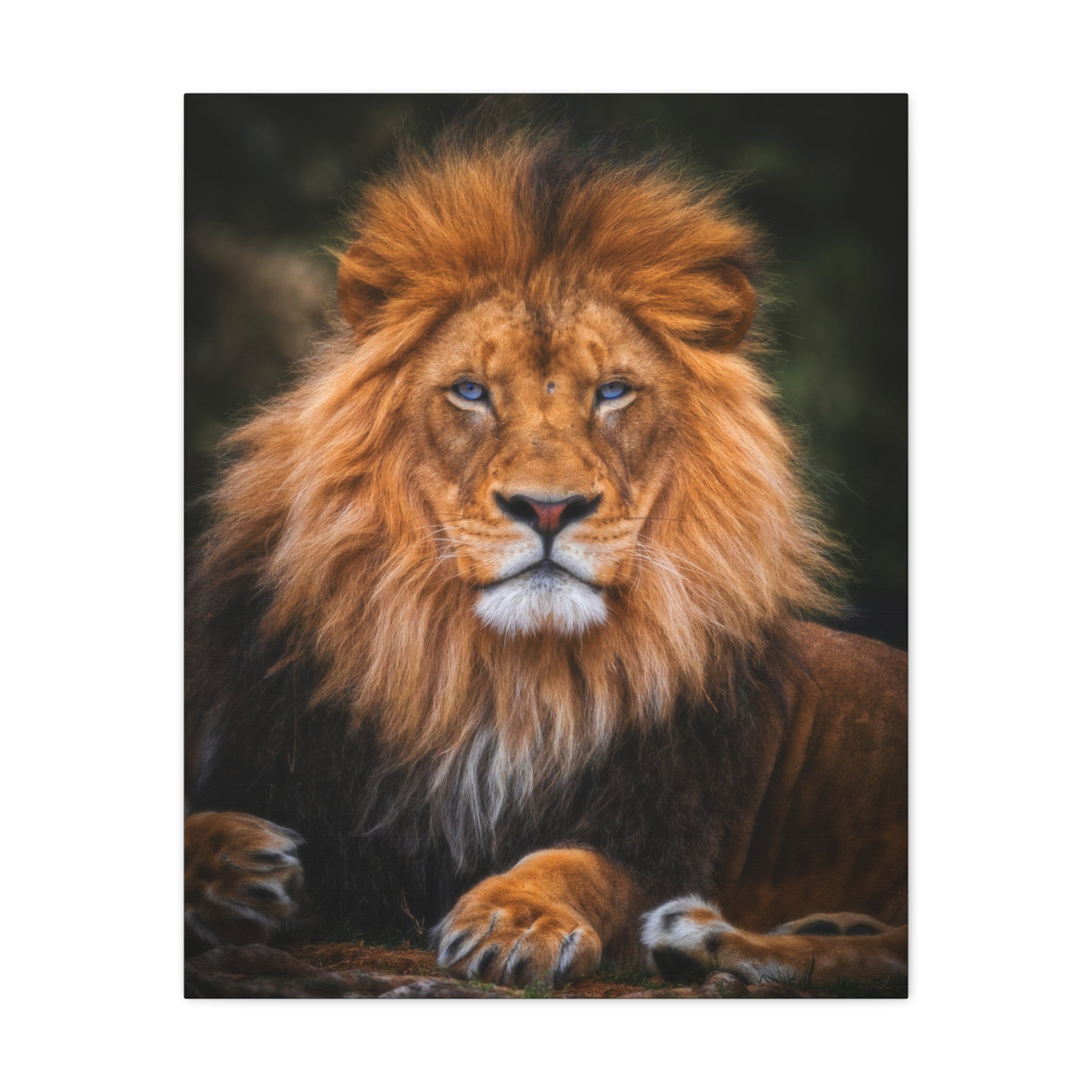canvas-print-blue-eyed-lion-wall-art-wildlife-home-decor-animal-lover-gift-safari-nursery-decoration-wildlife-art-print-lion-