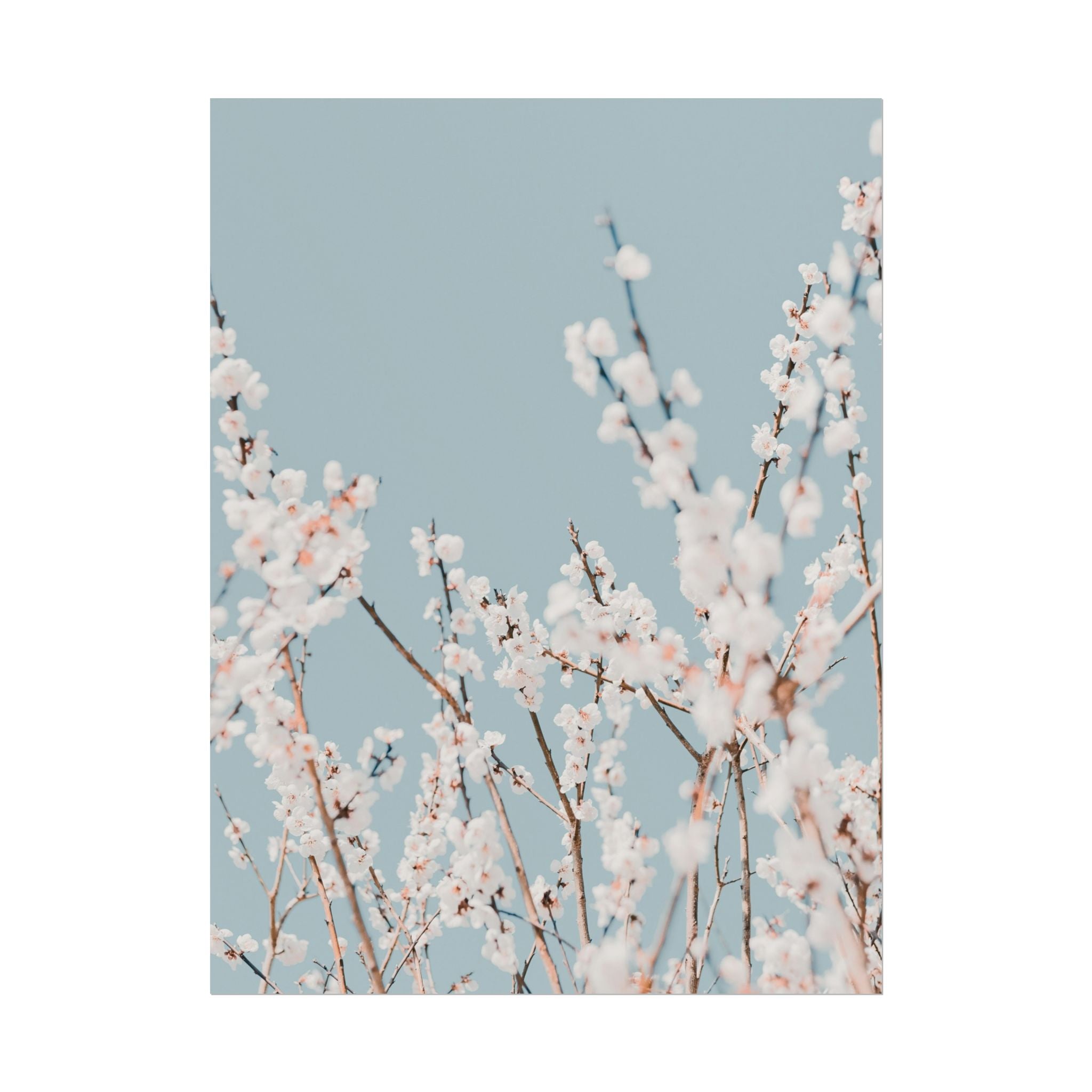 blossom-flowers-poster-print-minimalist-aesthetic-wall-art-fine-art-paper-home-decor-floral-decor-elegant-artwork