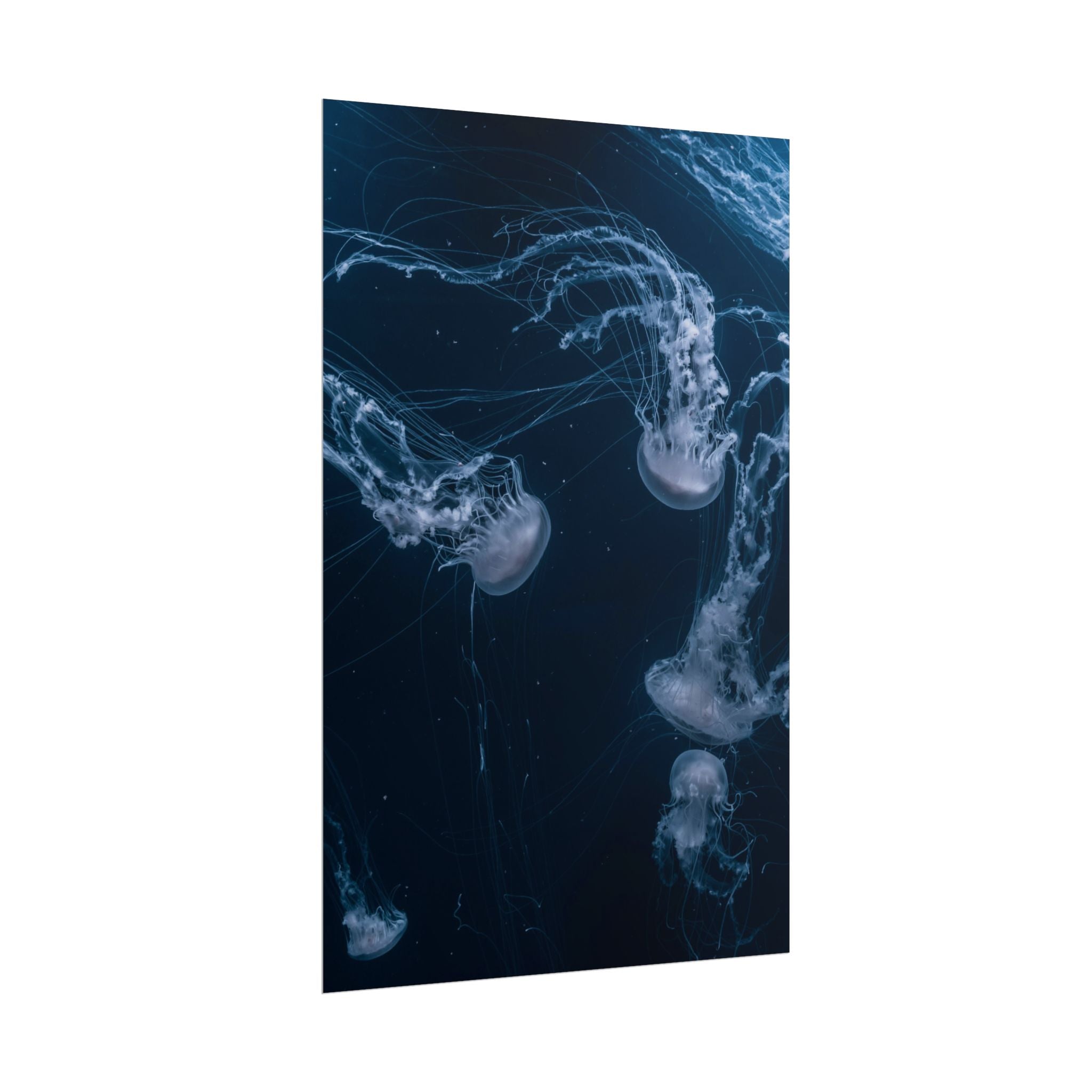 long-jellyfish-wall-art-poster-print-wall-hanging-ocean-life-deep-ocean-decor-home-decor-housewarming-gift