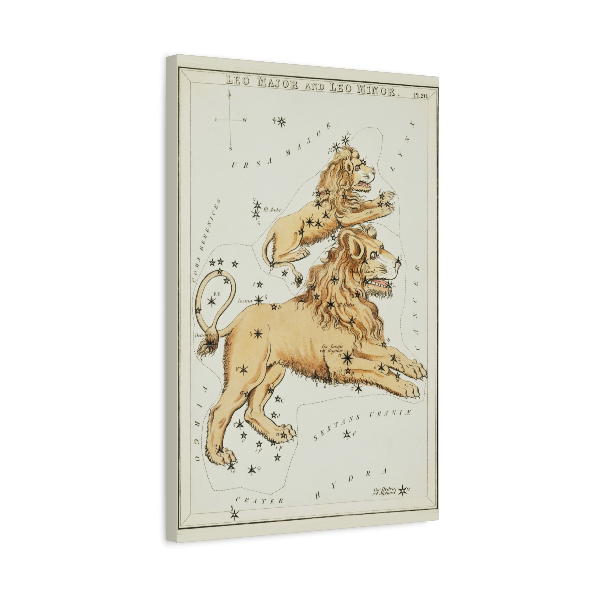 canvas-print-star-map-leo-major-leo-minor-celestial-gift-vintage-map-celestial-map-wall-art-decor-astronomy-decor-constellati