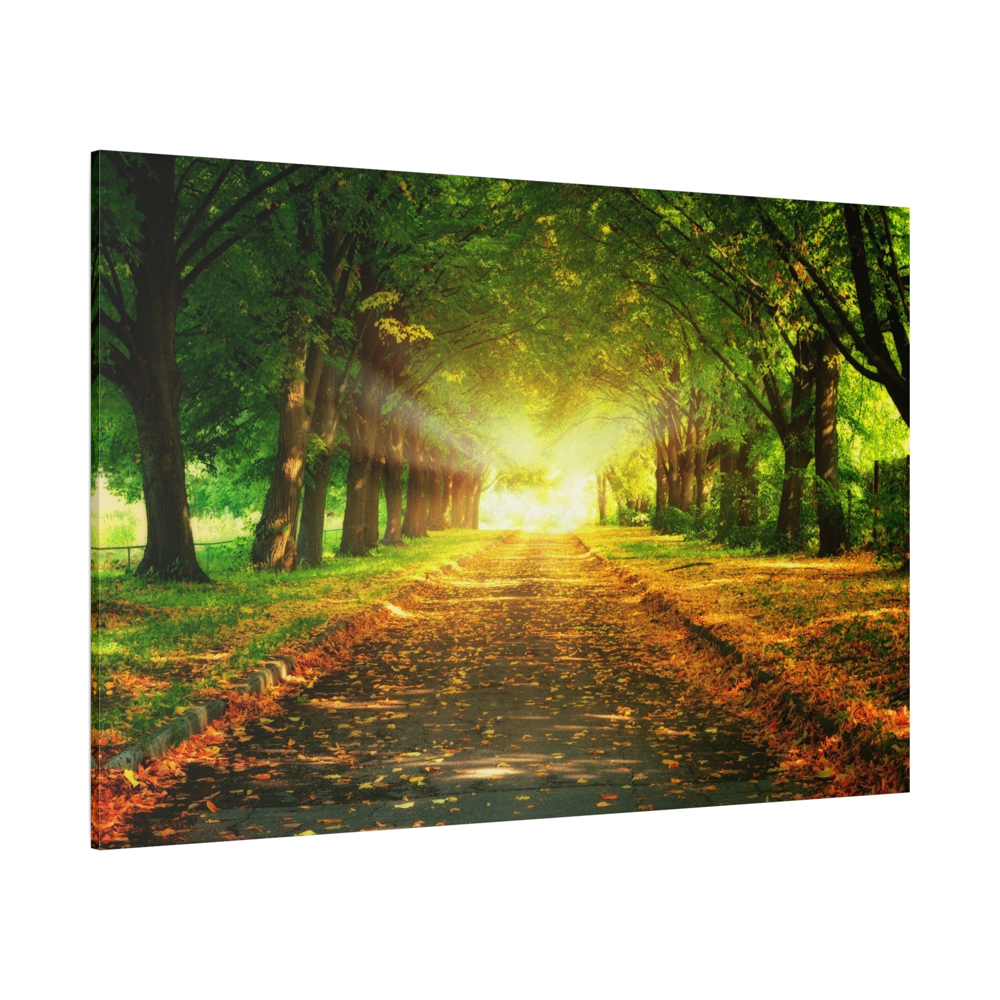 canvas-print-sunset-landscape-wall-art-nature-decor-fall-trees-living-room-decor-road-leaves-autumn-decor-fall-canvas