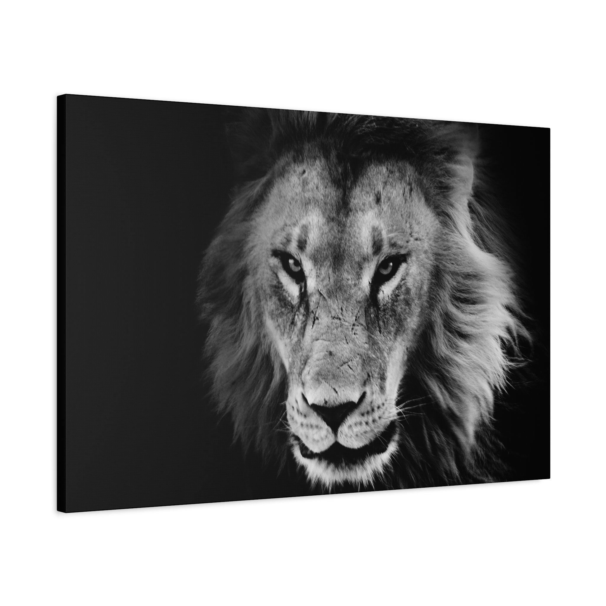canvas-print-lion-wall-art-black-and-white-living-room-decor-matte-stretched-lion-poster-jungle-animal-art-print-wildlife-saf