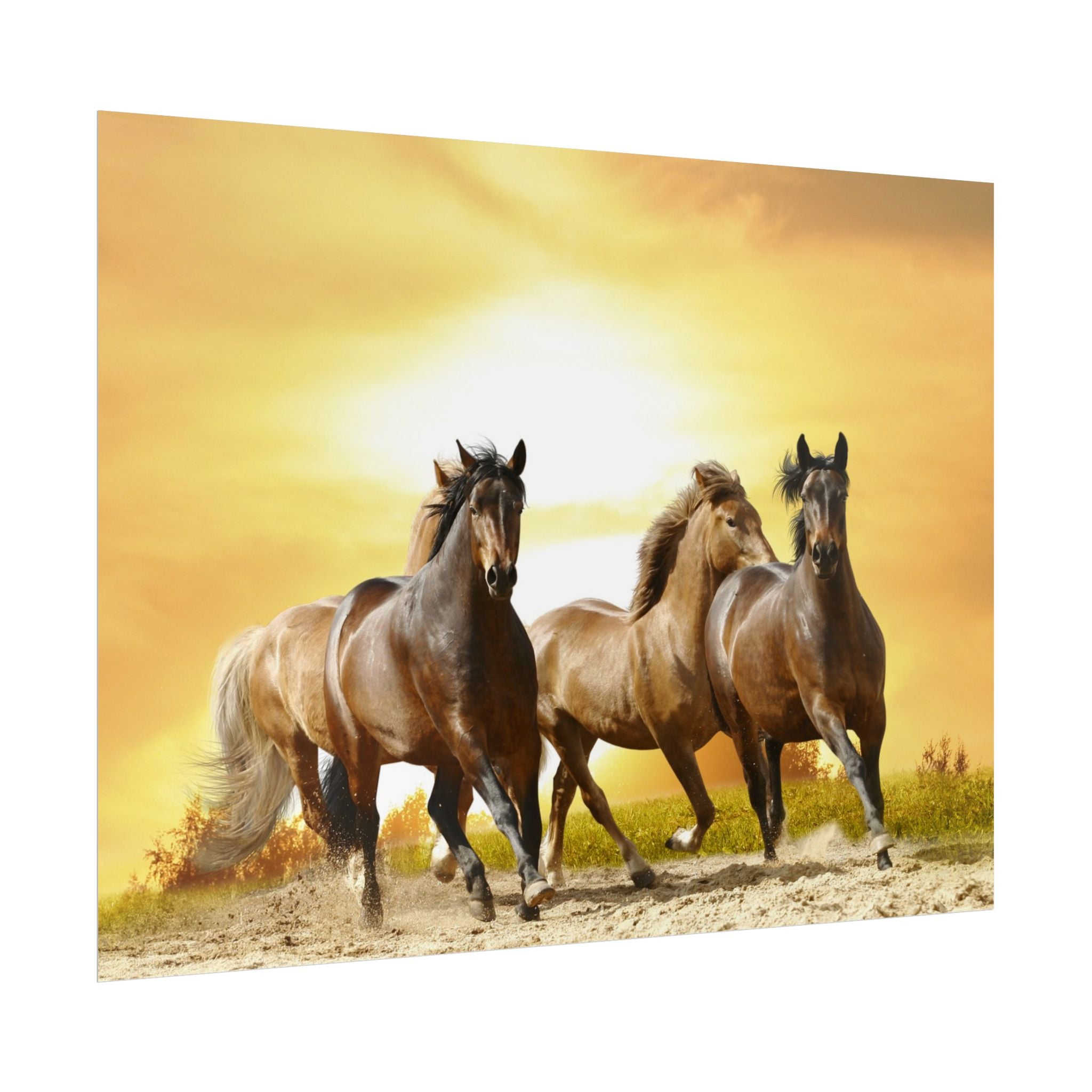 running-horse-poster-wall-art-farmhouse-wall-decor-home-decor-housewarming-gift-horse-print-wall-print-wild-animals