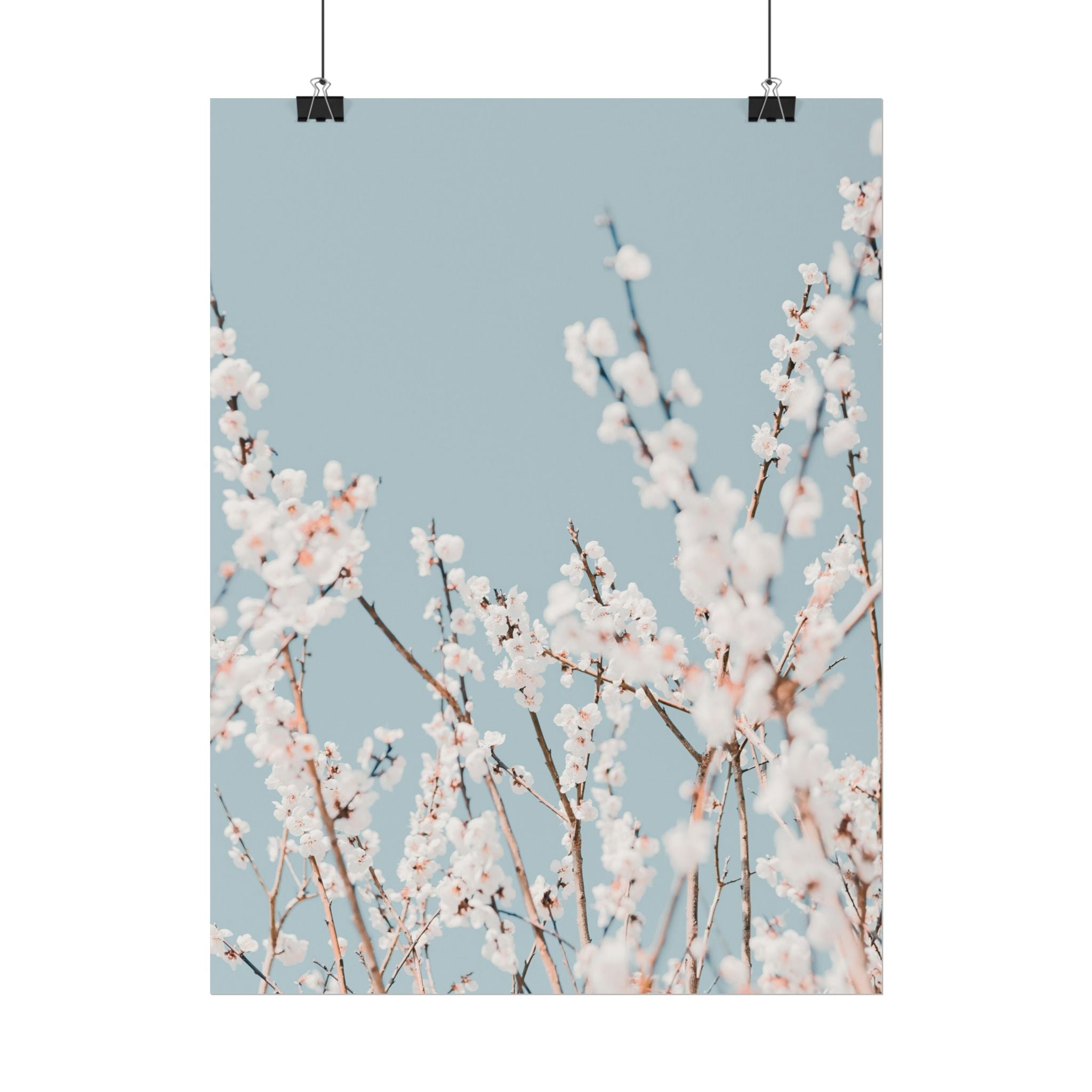 blossom-flowers-poster-print-minimalist-aesthetic-wall-art-fine-art-paper-home-decor-floral-decor-elegant-artwork