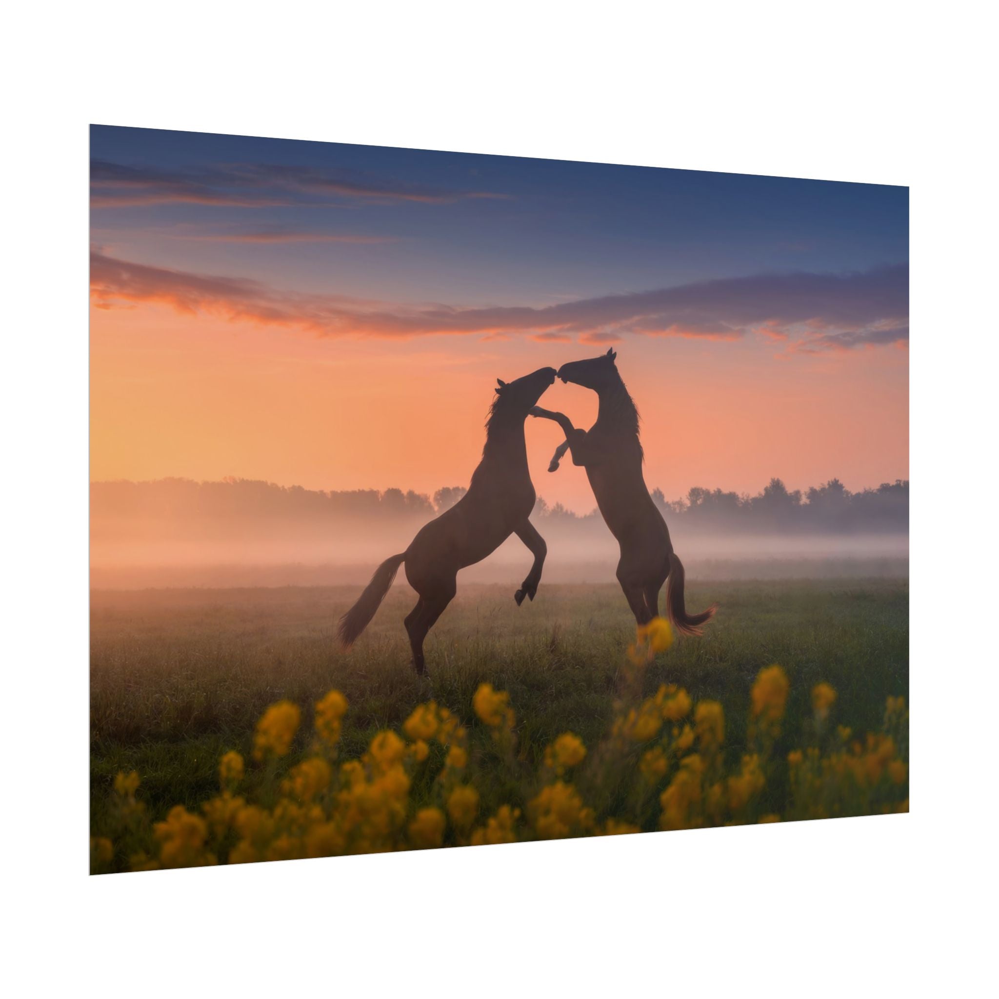 Wild Rising Horses Poster Print, Field of Flowers Decor, Home Decor, Farmhouse Wall Decor, Nature Wall Art, Horse Canvas Print, Mustang