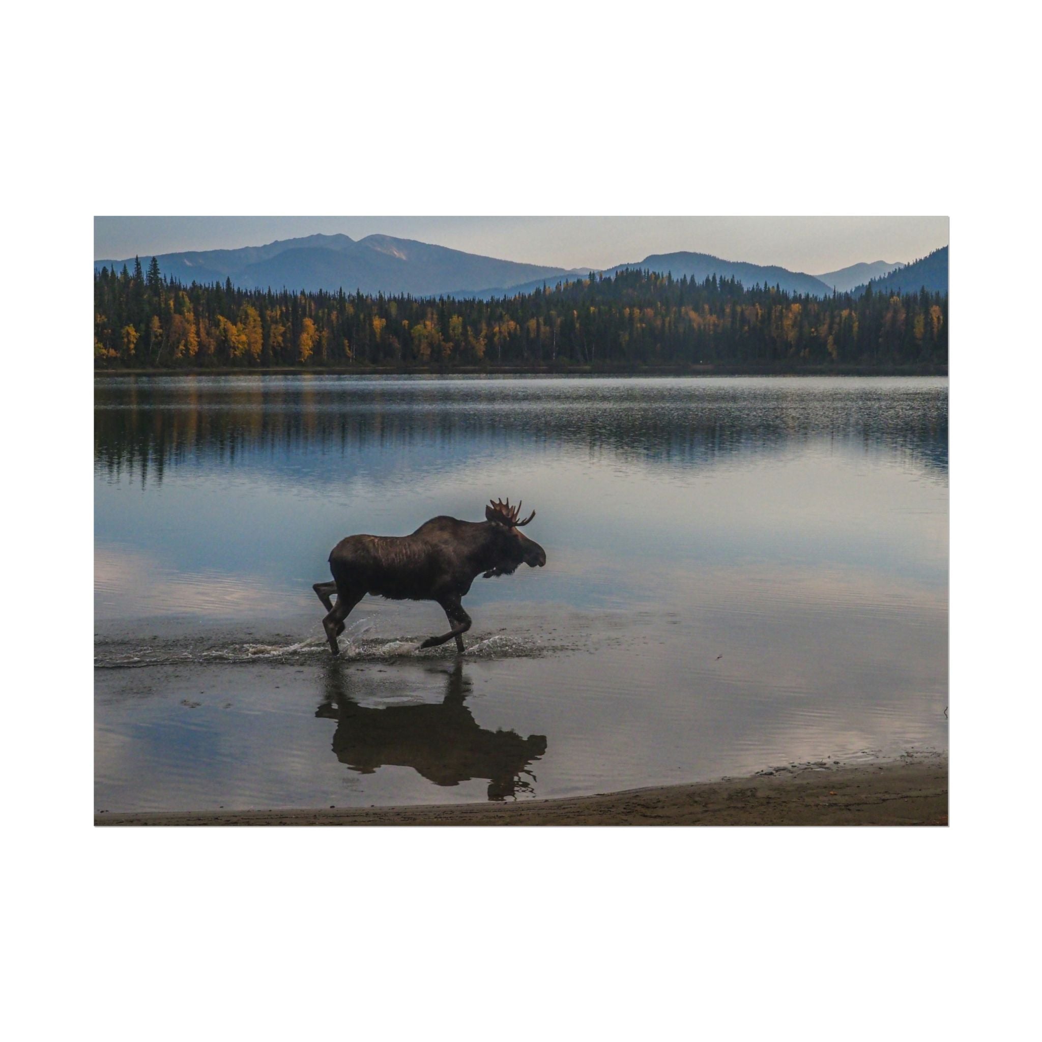 rustic-moose-poster-wall-decor-cabin-lodge-wildlife-painting-nature-home-decor-wilderness-animal-poster-farmhouse-wall-art