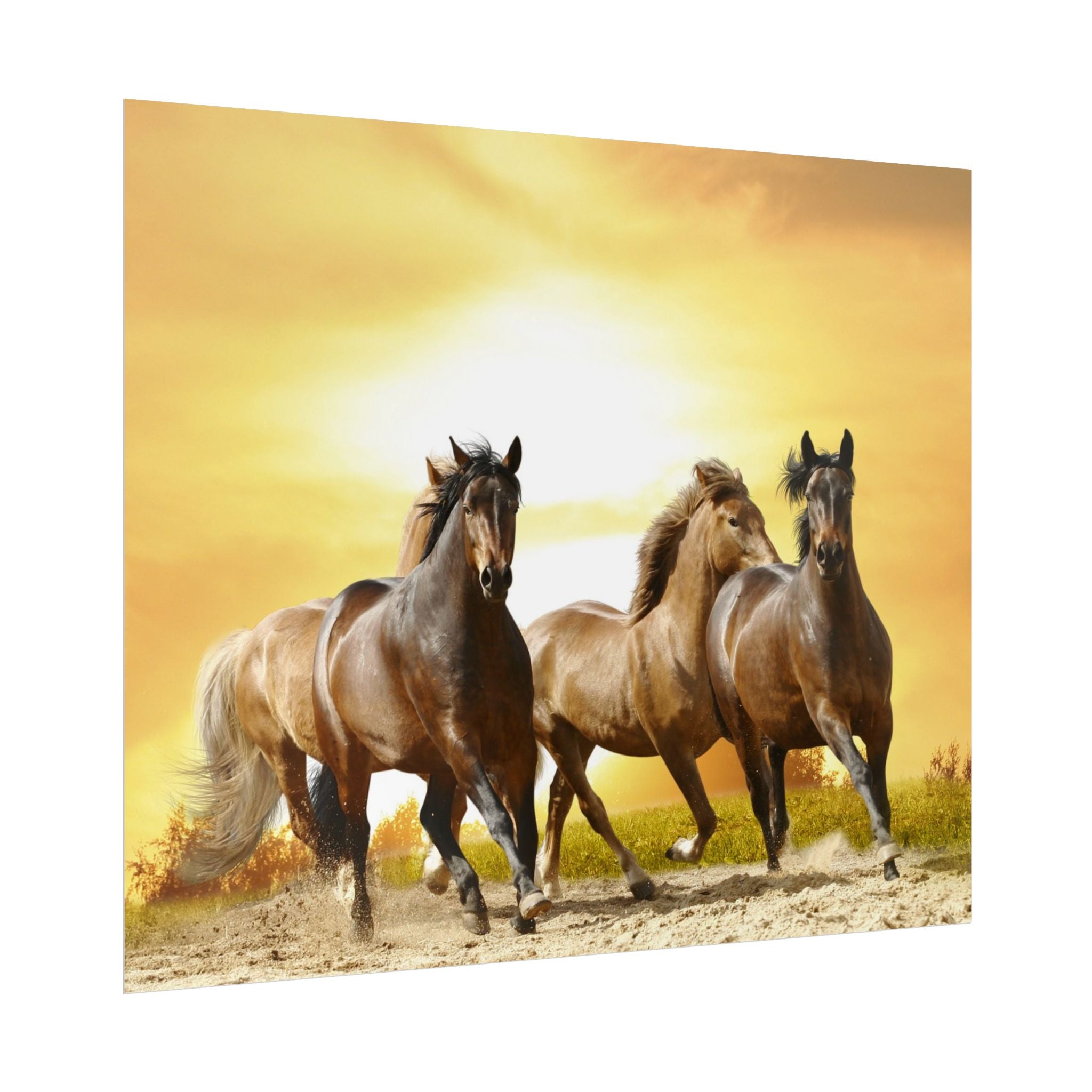 running-horse-poster-wall-art-farmhouse-wall-decor-home-decor-housewarming-gift-horse-print-wall-print-wild-animals