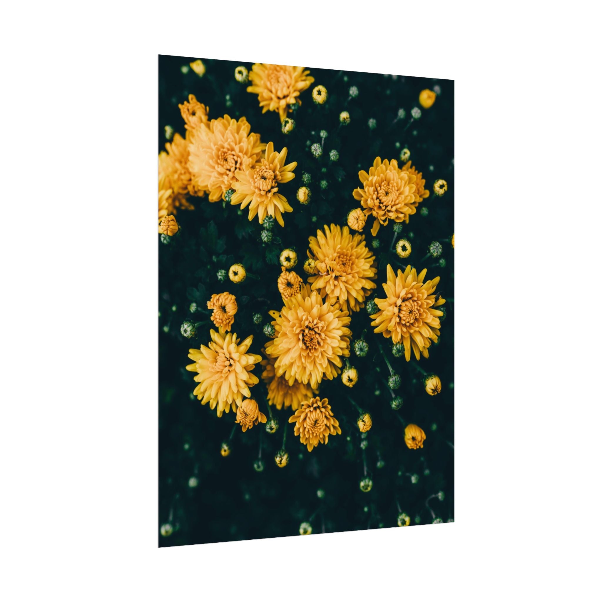 yellow-flower-art-poster-print-floral-wall-decor-floral-home-decor-gift-dark-botanical-art-print