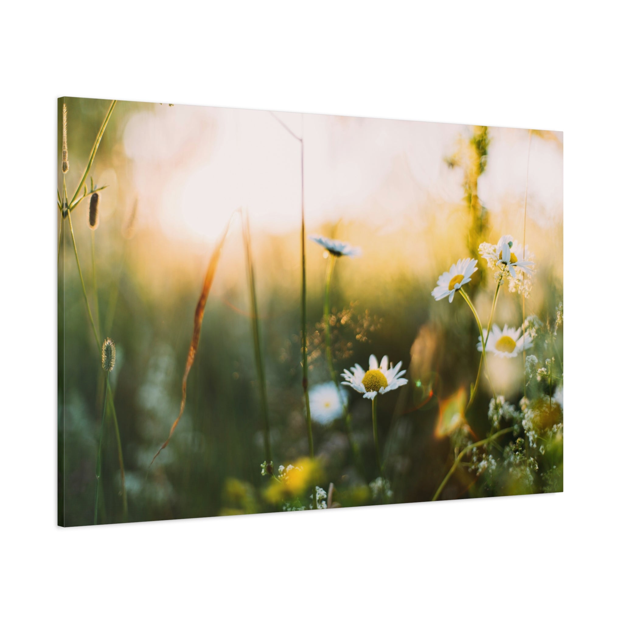 canvas-print-spring-flowers-wall-art-floral-home-decor-matte-canvas-print-stretched-canvas-art-1-25-canvas-artwork-botanical-