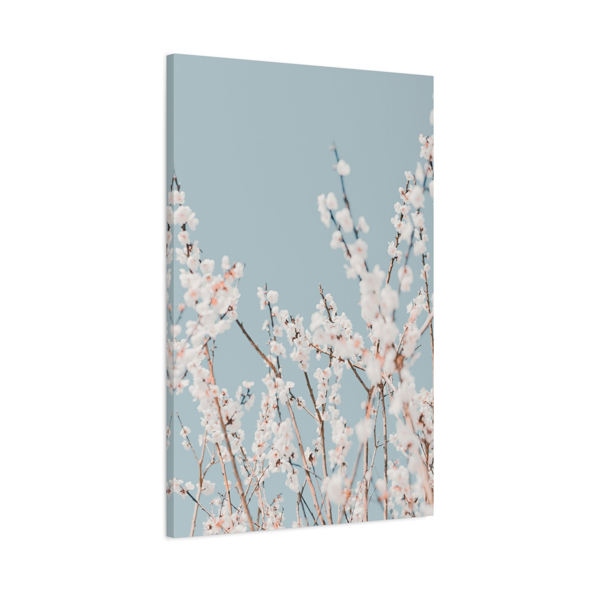canvas-print-blossom-flowers-minimalist-aesthetic-wall-art-matte-stretched-1-25in-home-decor-floral-decor-elegant-artwork