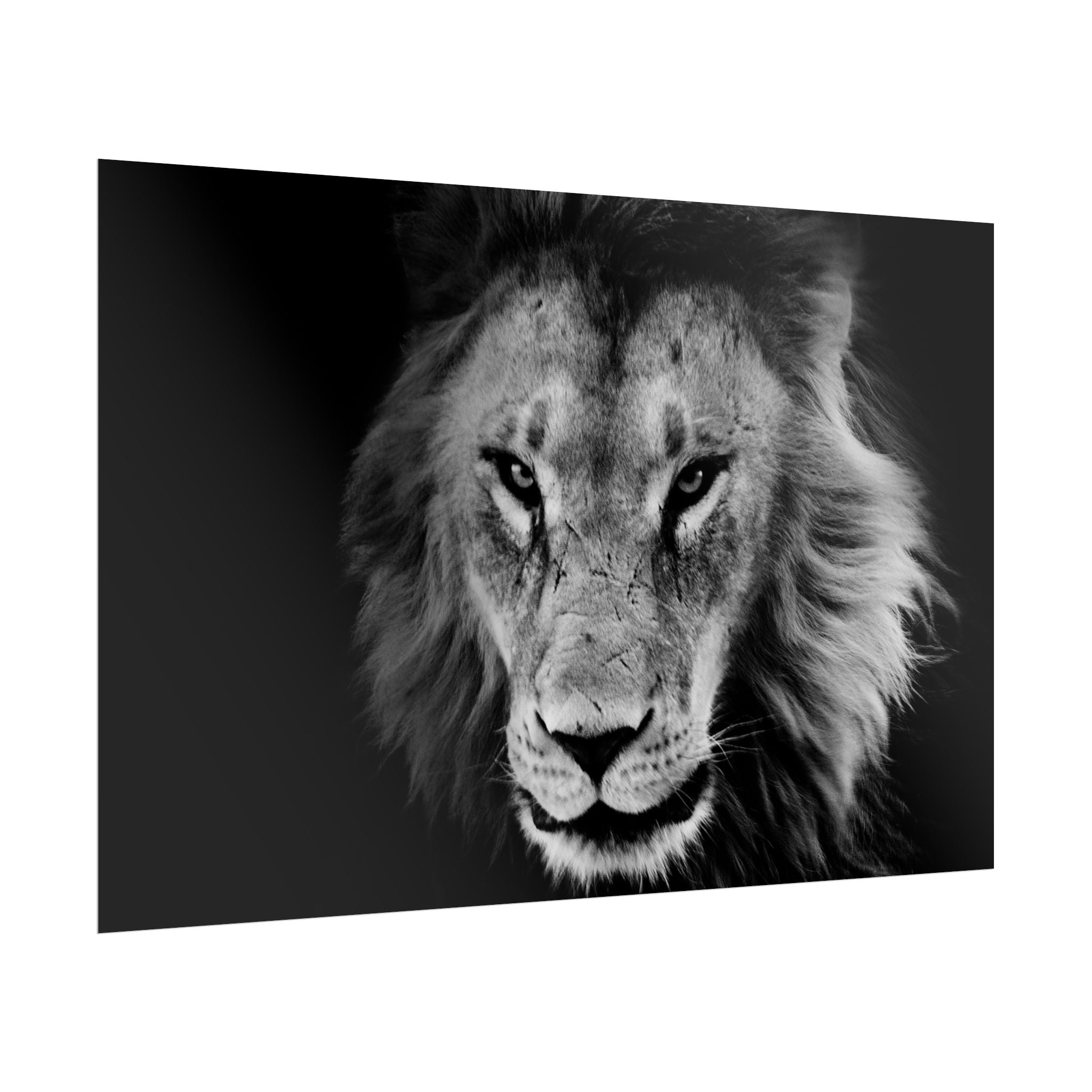 poster-print-lion-wall-art-black-and-white-living-room-decor-monochrome-art-lion-poster-jungle-animal-art-print-wildlife-safa