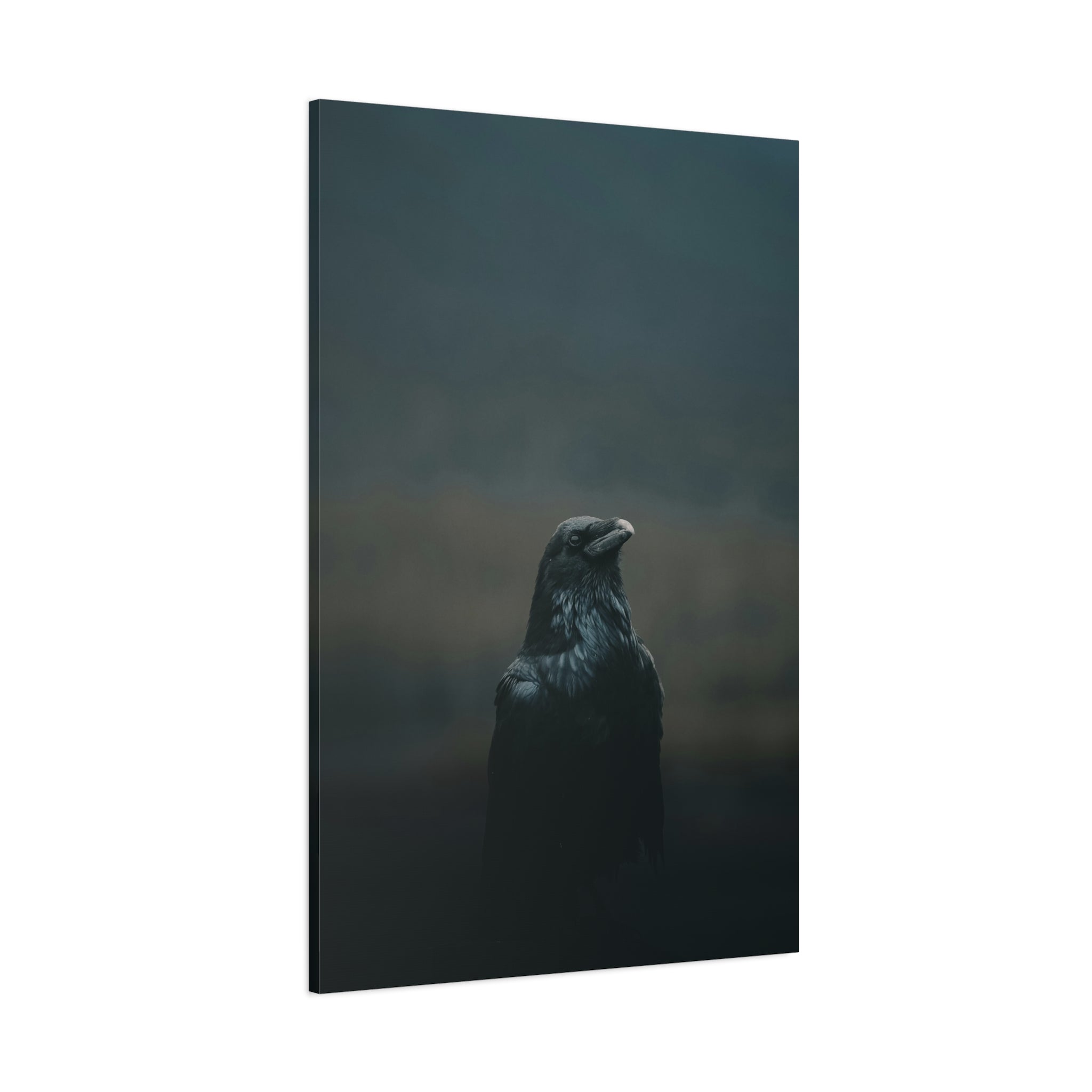 raven-canvas-print-raven-decor-matte-stretched-wall-art-bird-lover-gift-gothic-home-decor-halloween-picture-raven-art-print