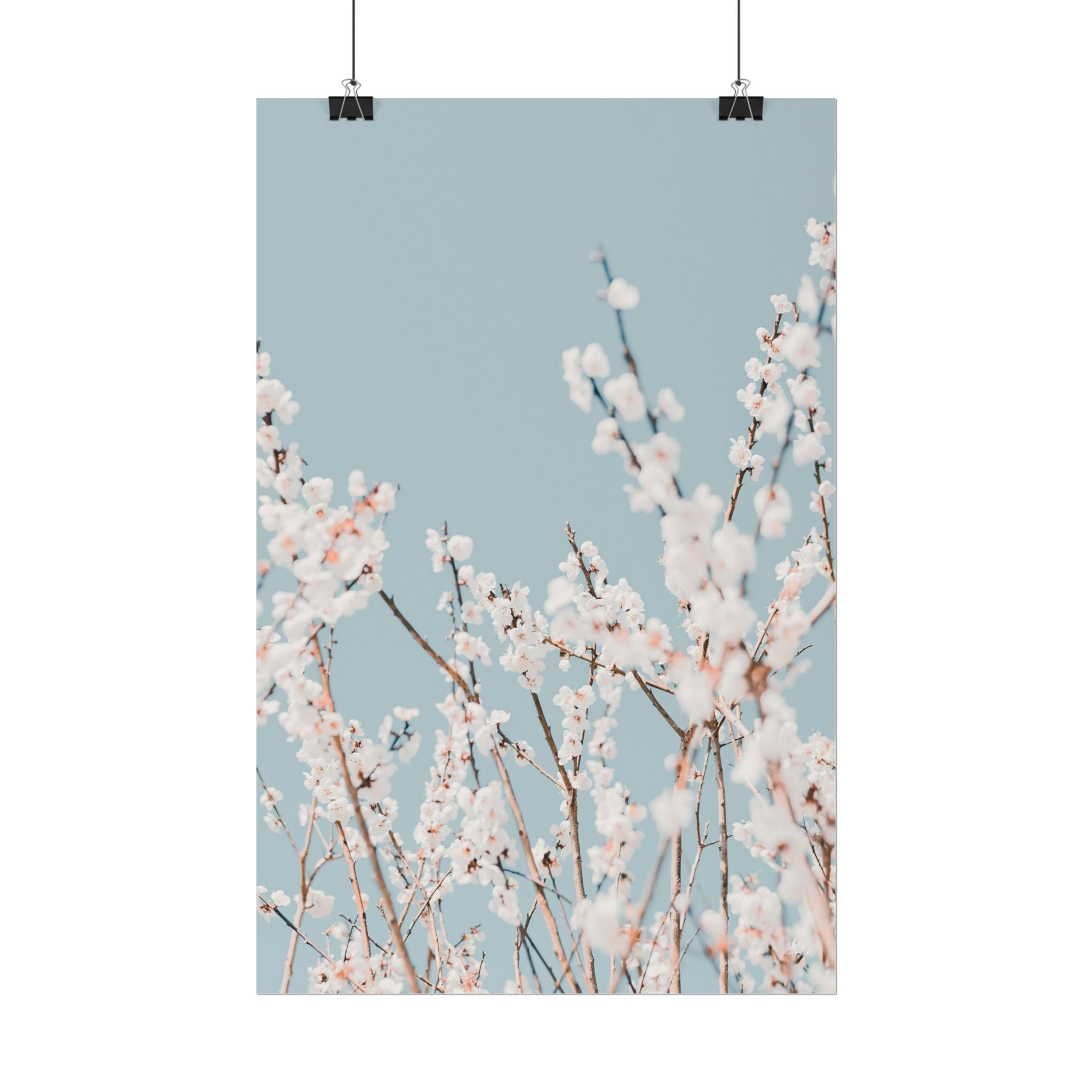 blossom-flowers-poster-print-minimalist-aesthetic-wall-art-fine-art-paper-home-decor-floral-decor-elegant-artwork