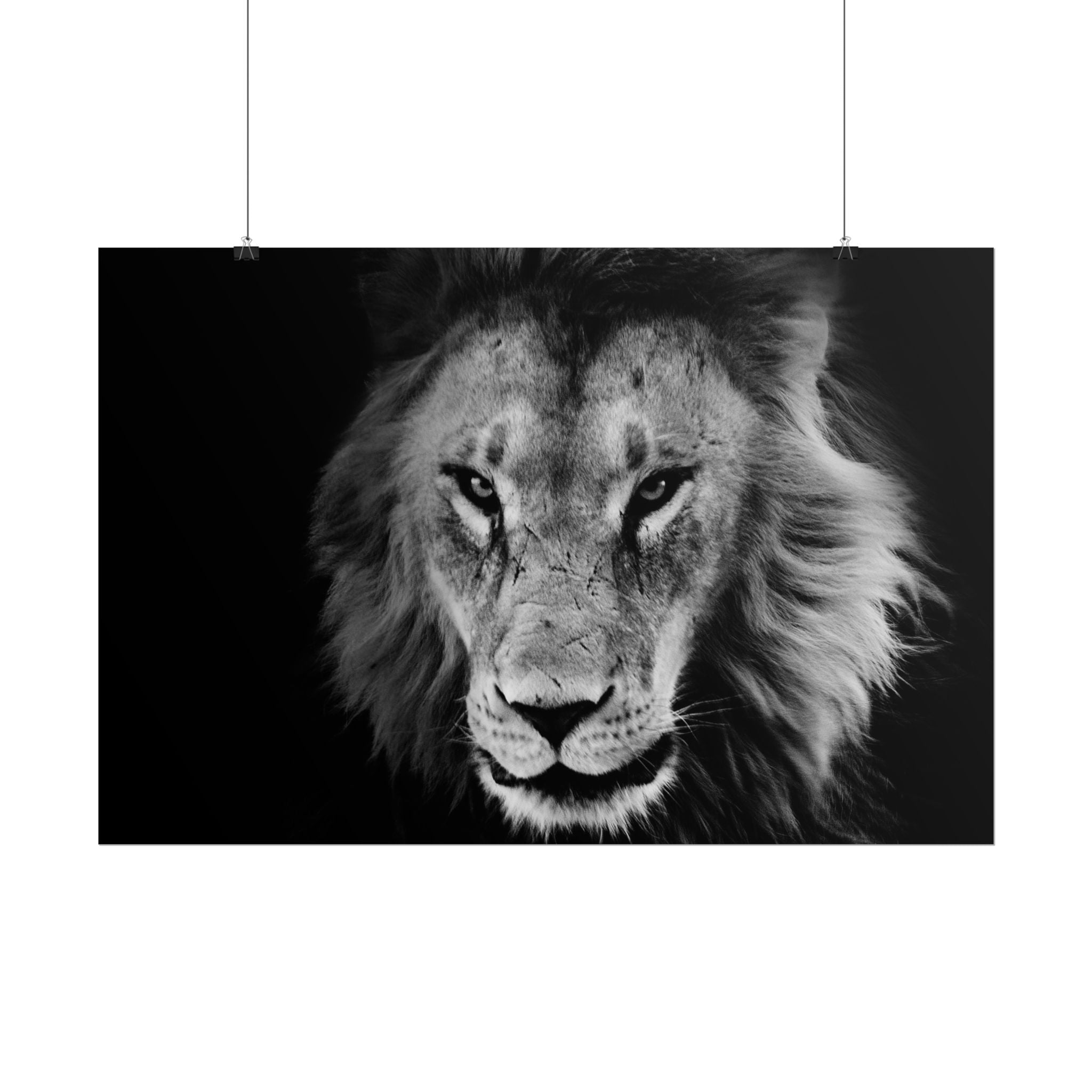 poster-print-lion-wall-art-black-and-white-living-room-decor-monochrome-art-lion-poster-jungle-animal-art-print-wildlife-safa