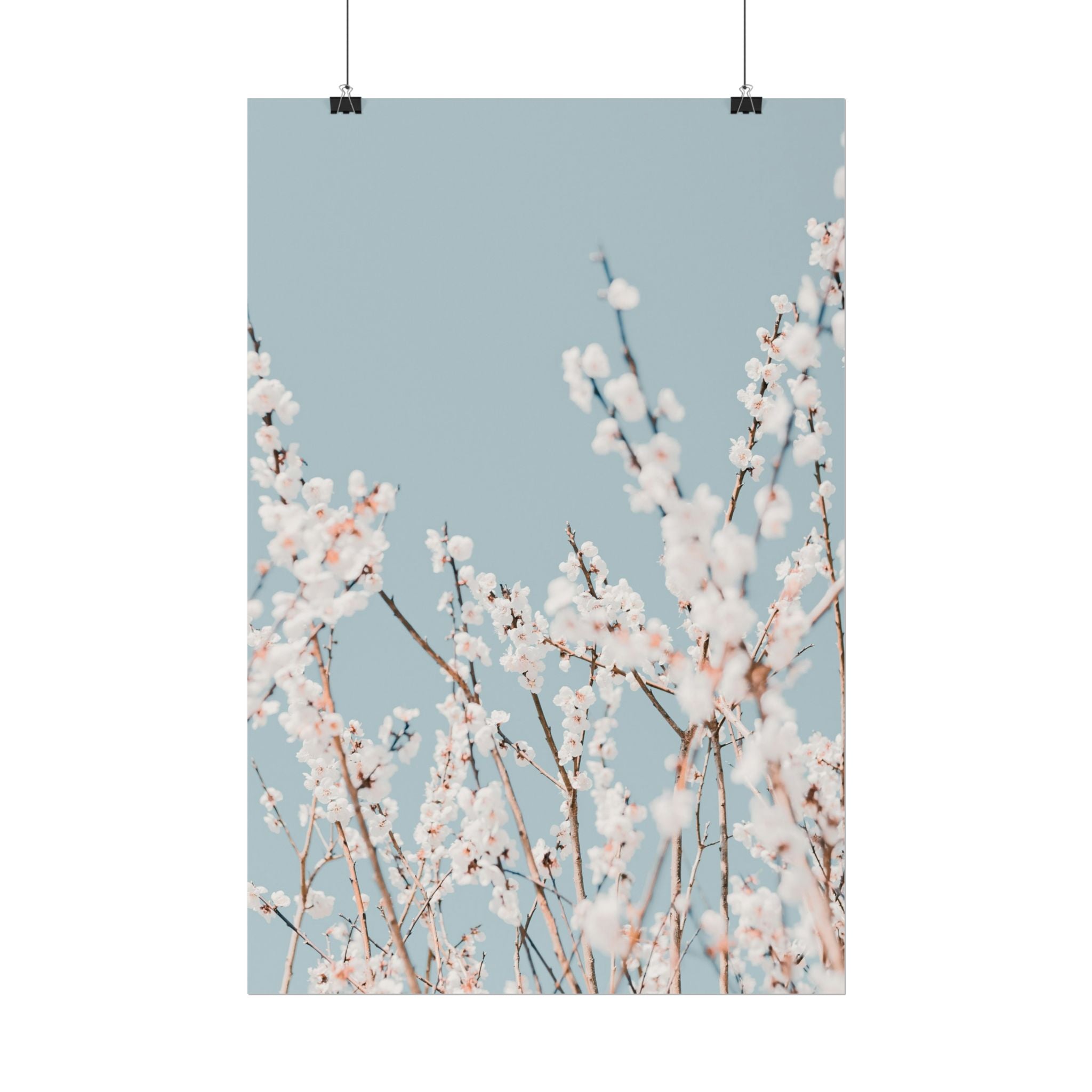 blossom-flowers-poster-print-minimalist-aesthetic-wall-art-fine-art-paper-home-decor-floral-decor-elegant-artwork