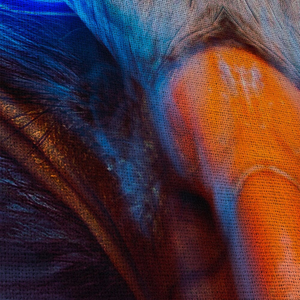 american-eagle-bald-eagle-bird-5-piece-canvas-wall-art-canvas-print-eagle-decor-art-extra-large-wall-art-eagle-poster-5-panel